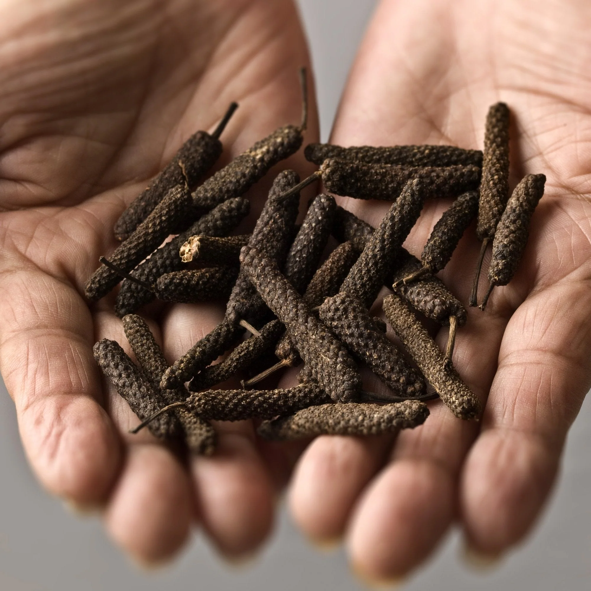 Long Wild Picked Pepper - Image 6