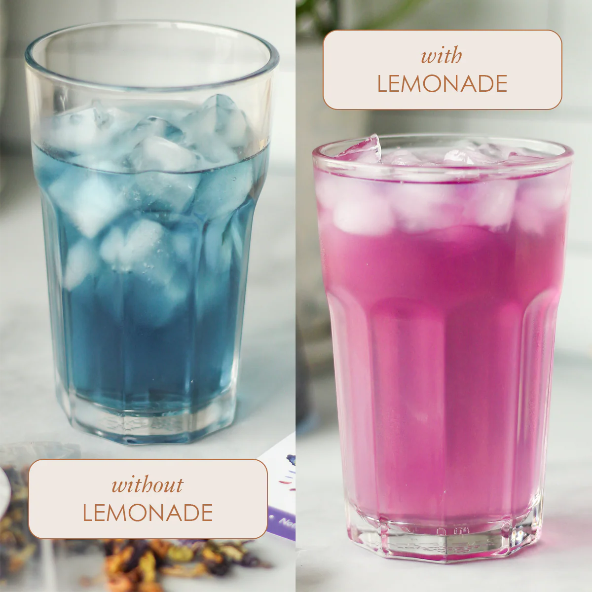 Magical Butterfly Herbal Tea (Butterfly Pea Flower / Berries) - Image 4