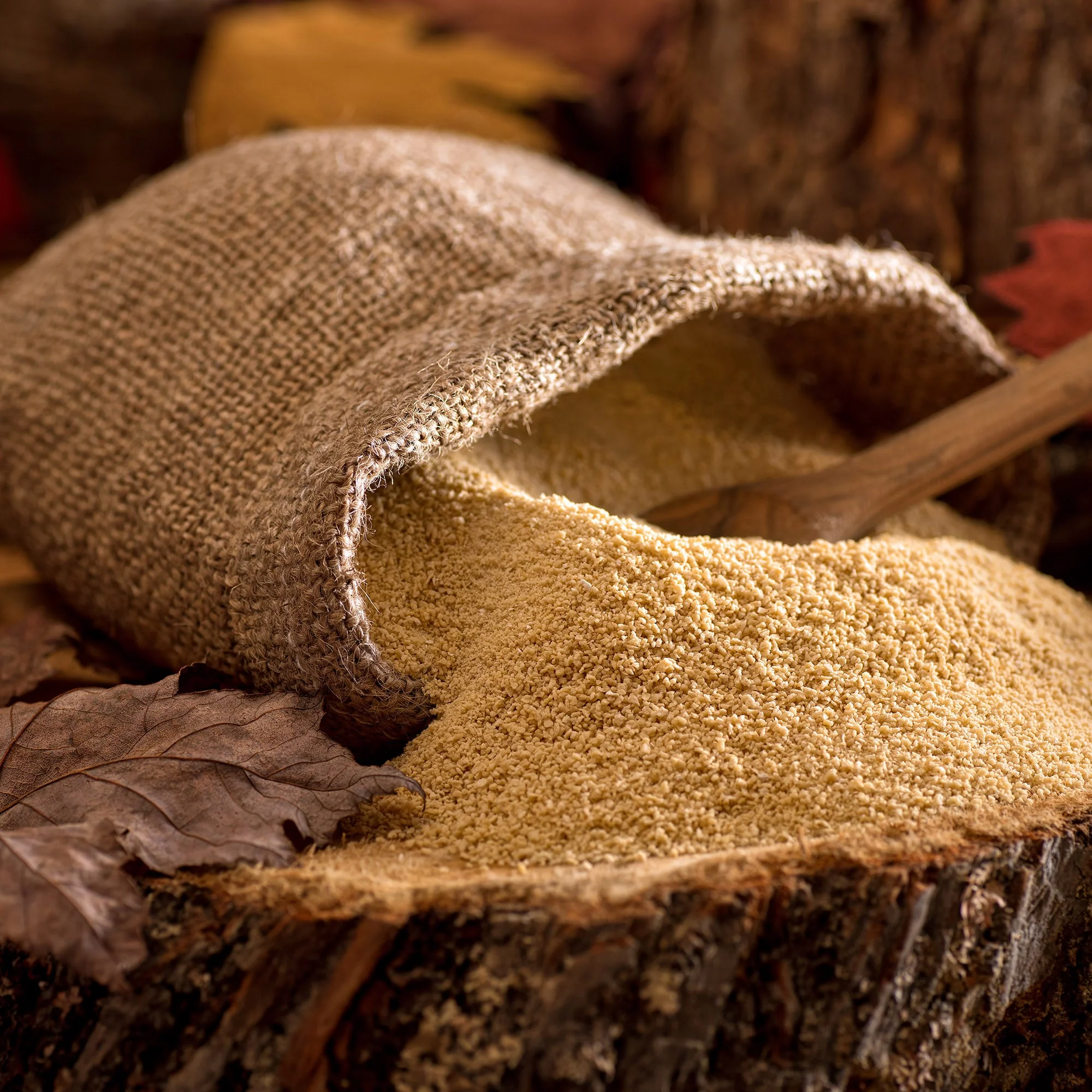 Maple Sugar Powder - Image 3