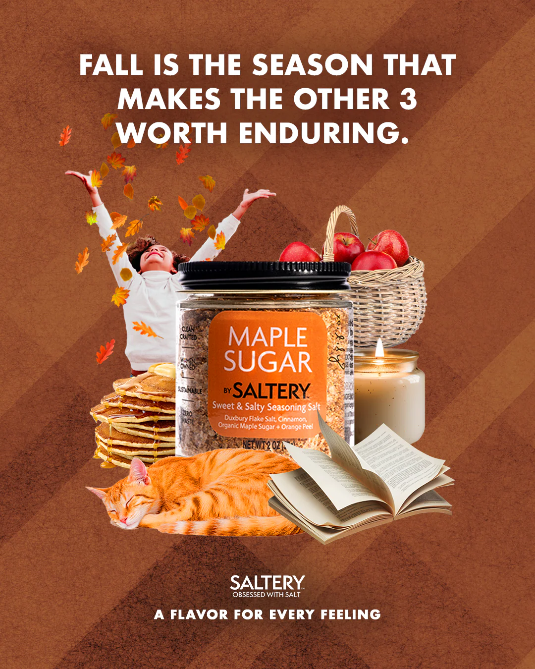 Maple Sugar | Seasoning Salt - Image 3