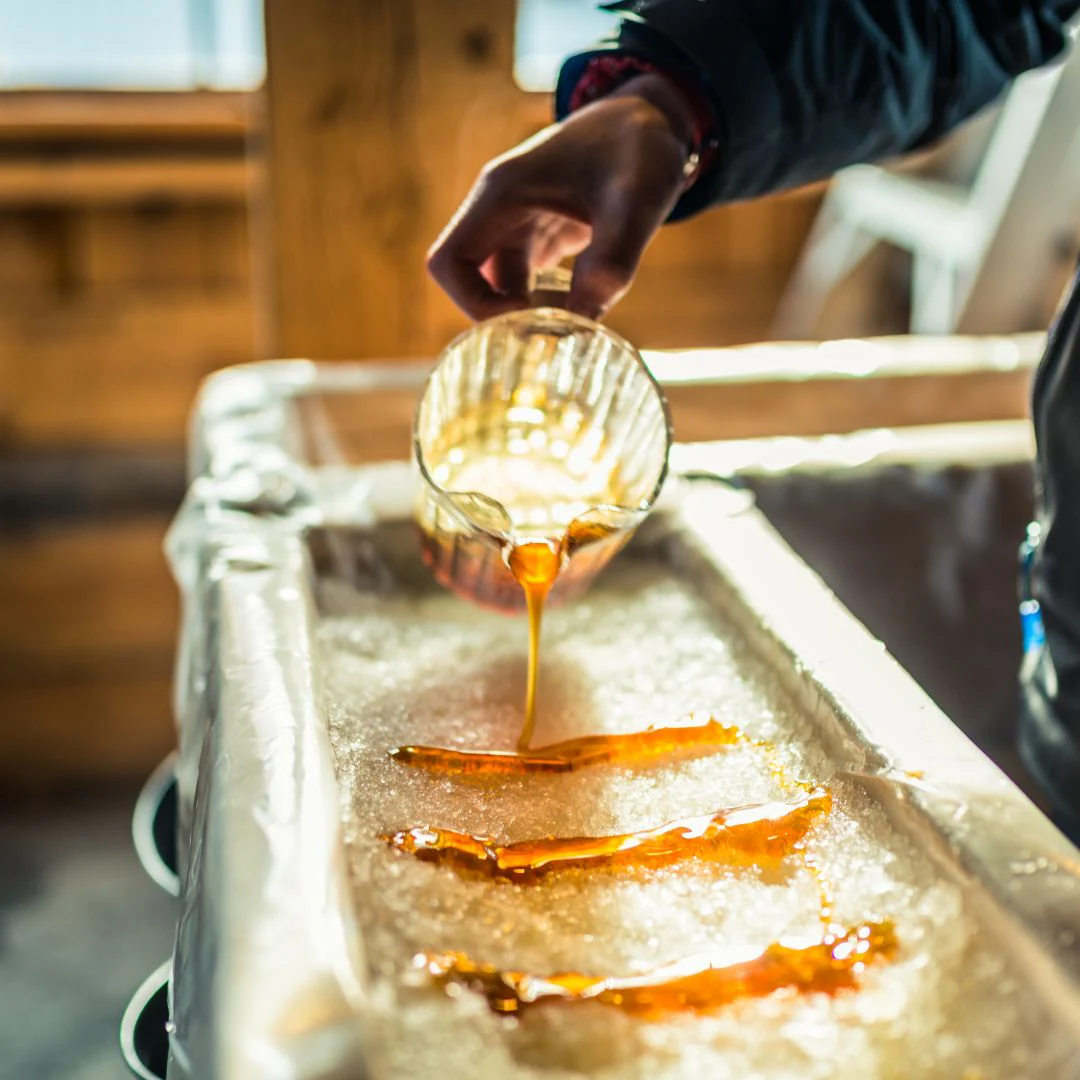 Maple Sugar | Seasoning Salt - Image 6