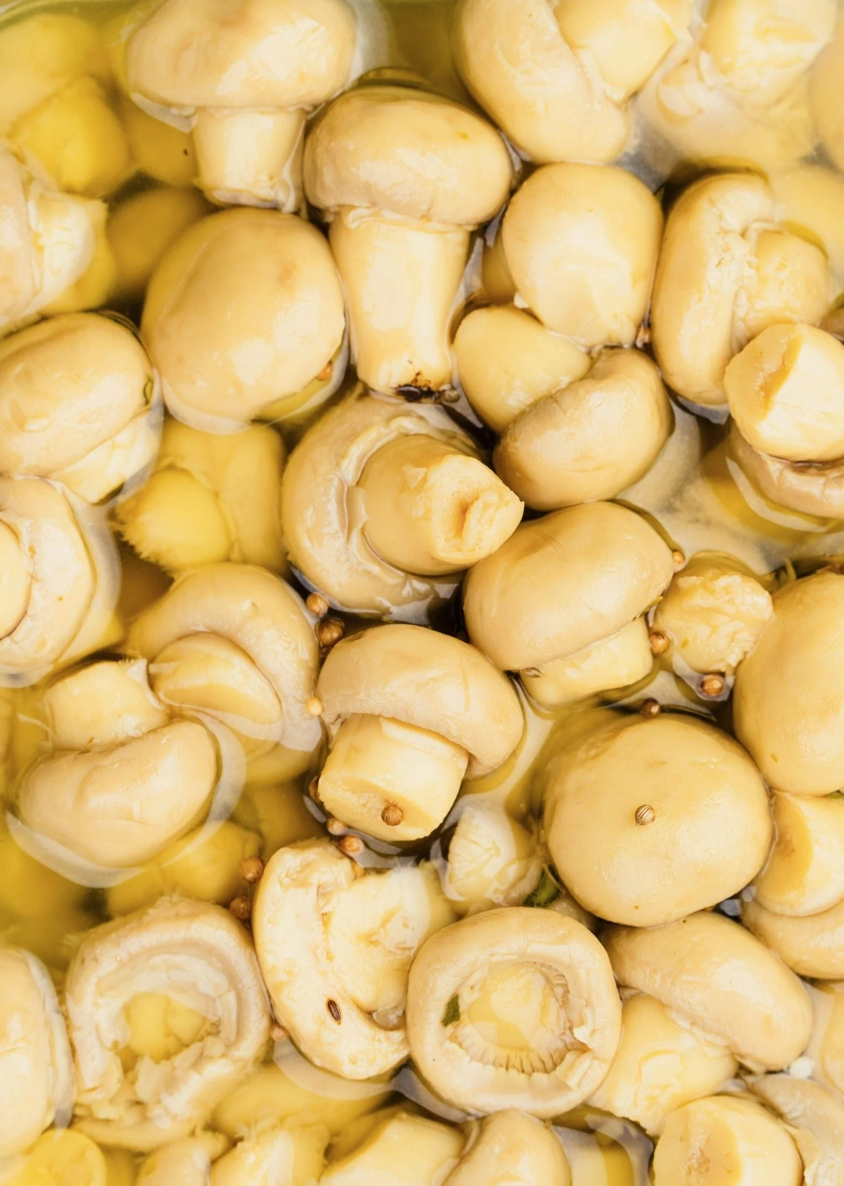 Marinated Pickled Mushrooms - Image 2