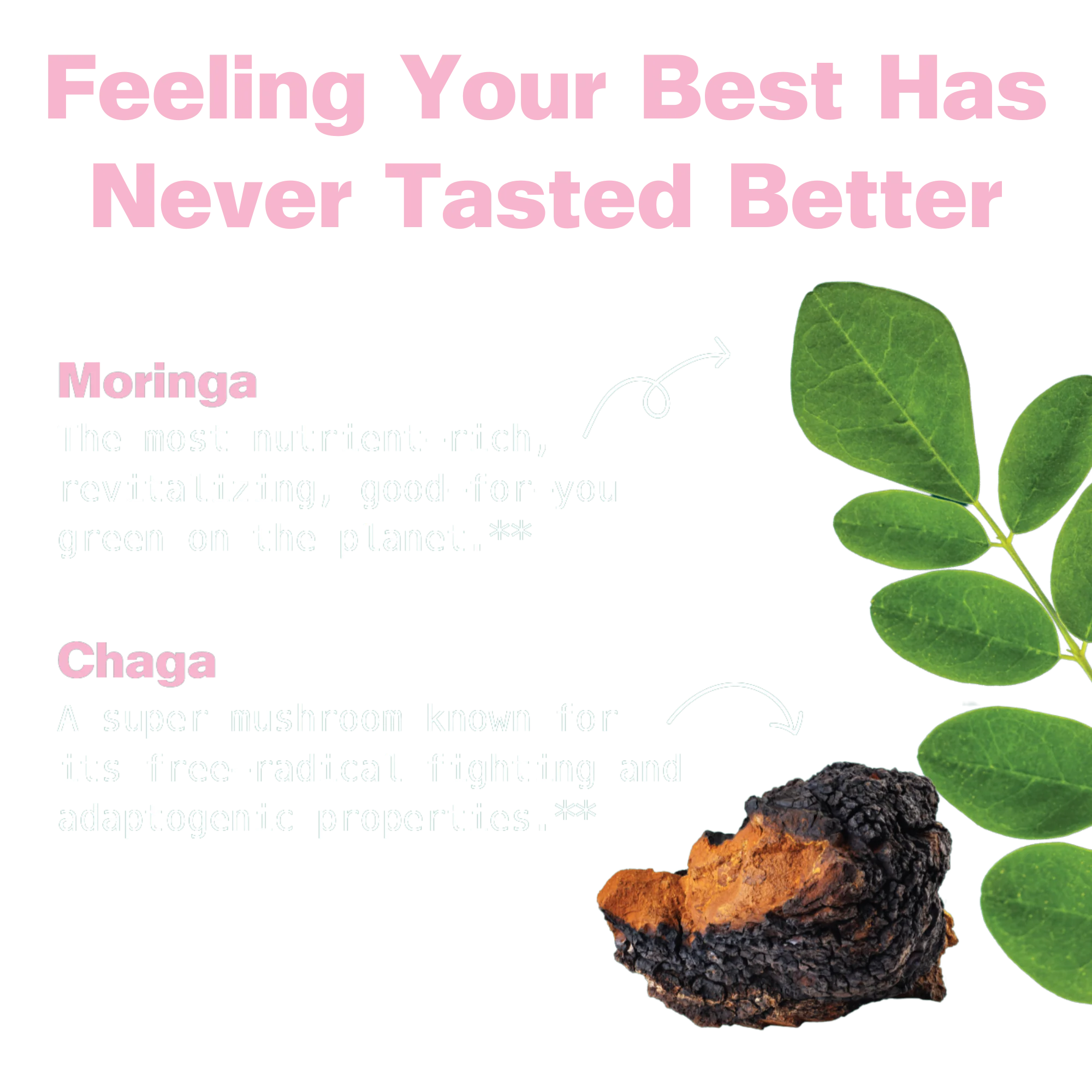 Moringa & Chaga Mushroom Superfood Gummies - Image 4