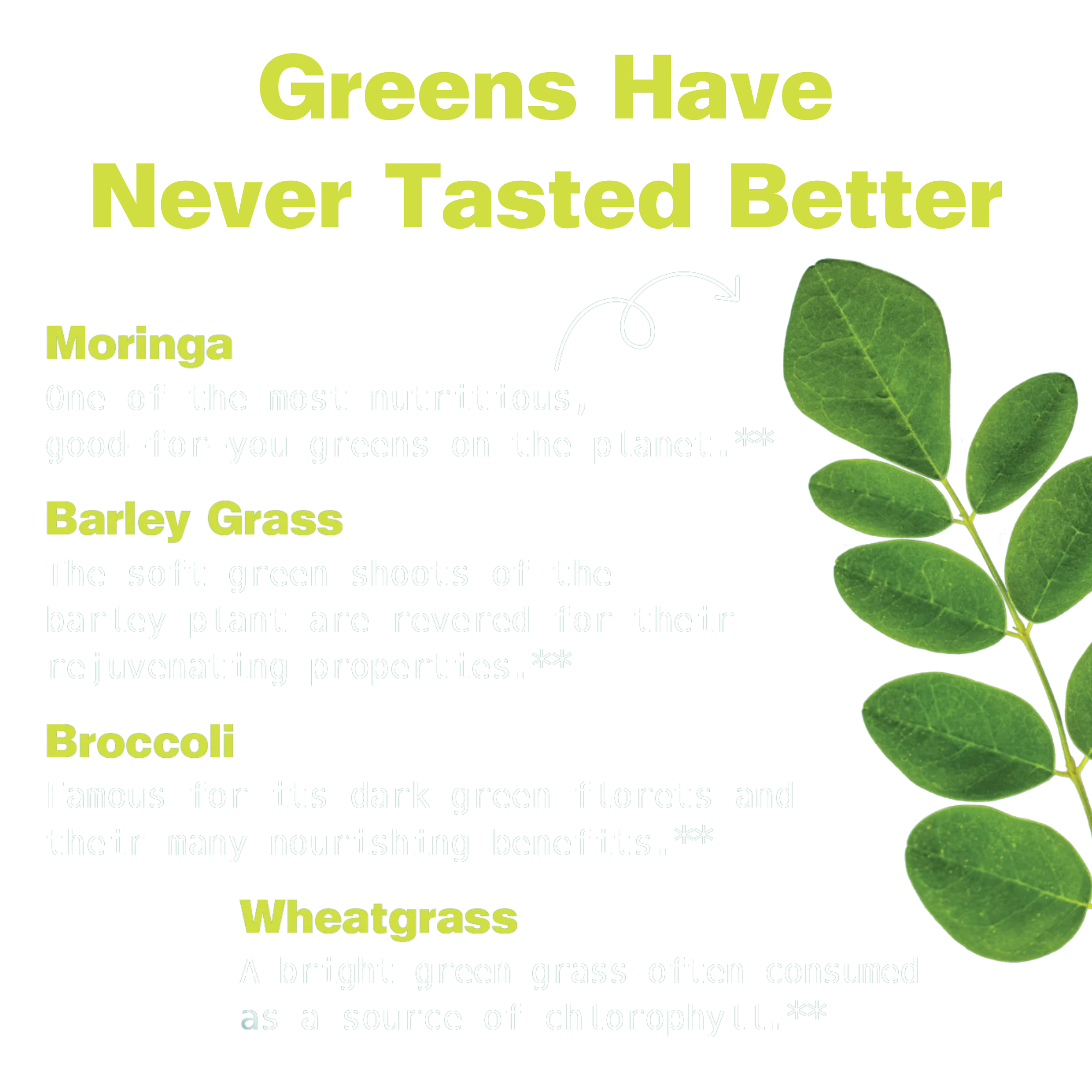 Moringa & Super Greens Superfood Gummies - Image 4