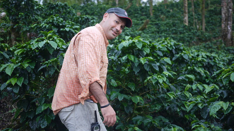 Nicaragua - Finca San Jose de las Nubes - Washed Process - Image 8