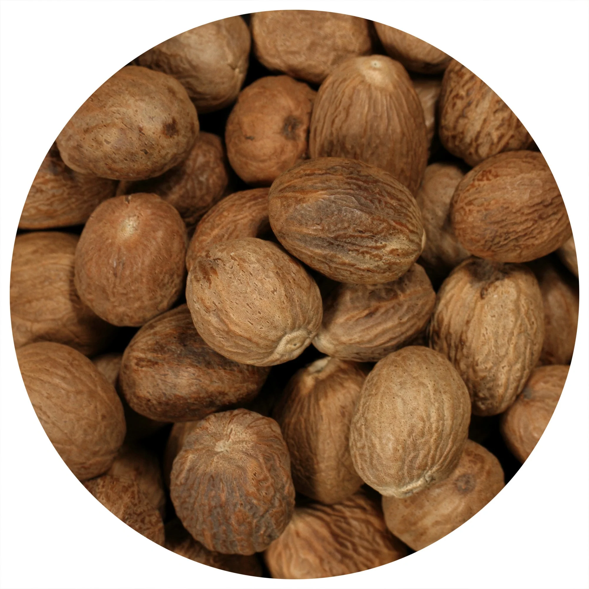 Nutmeg (Whole) - Image 2
