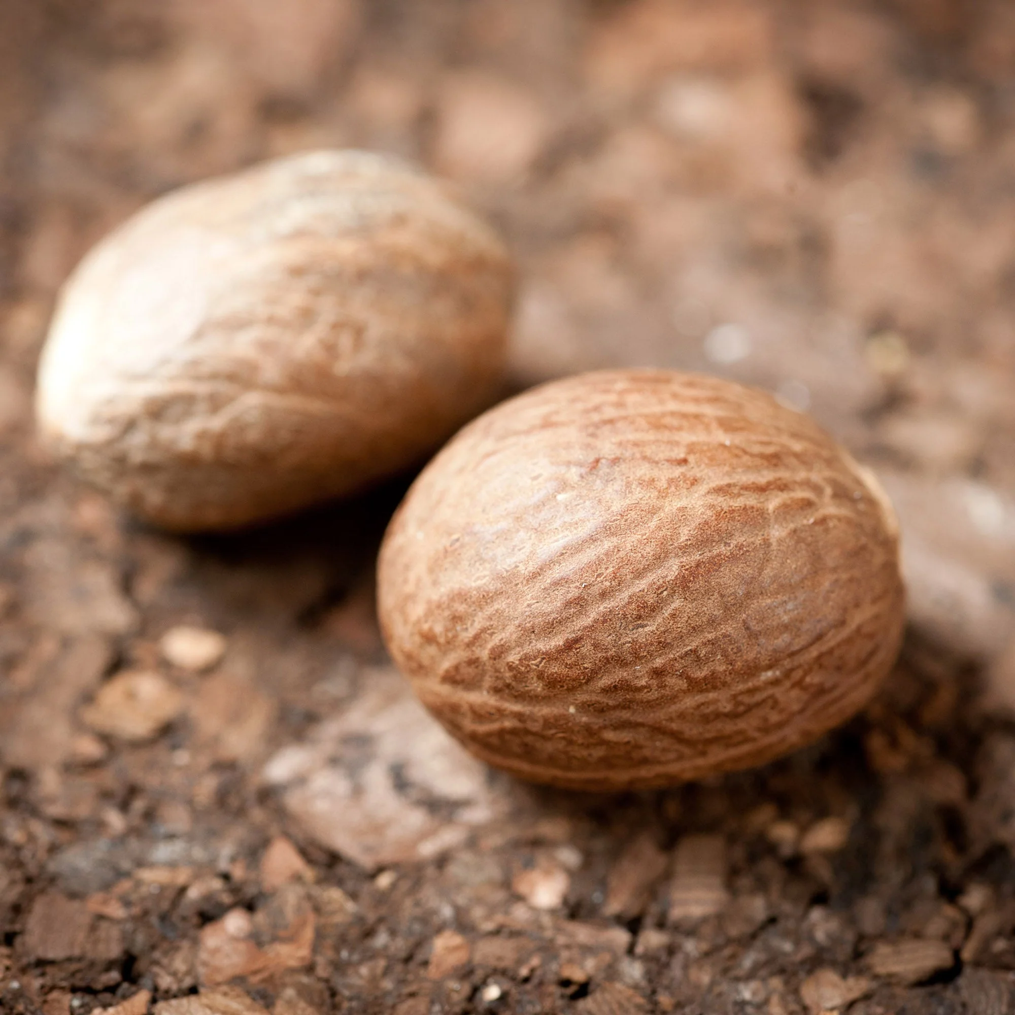 Nutmeg (Whole) - Image 3
