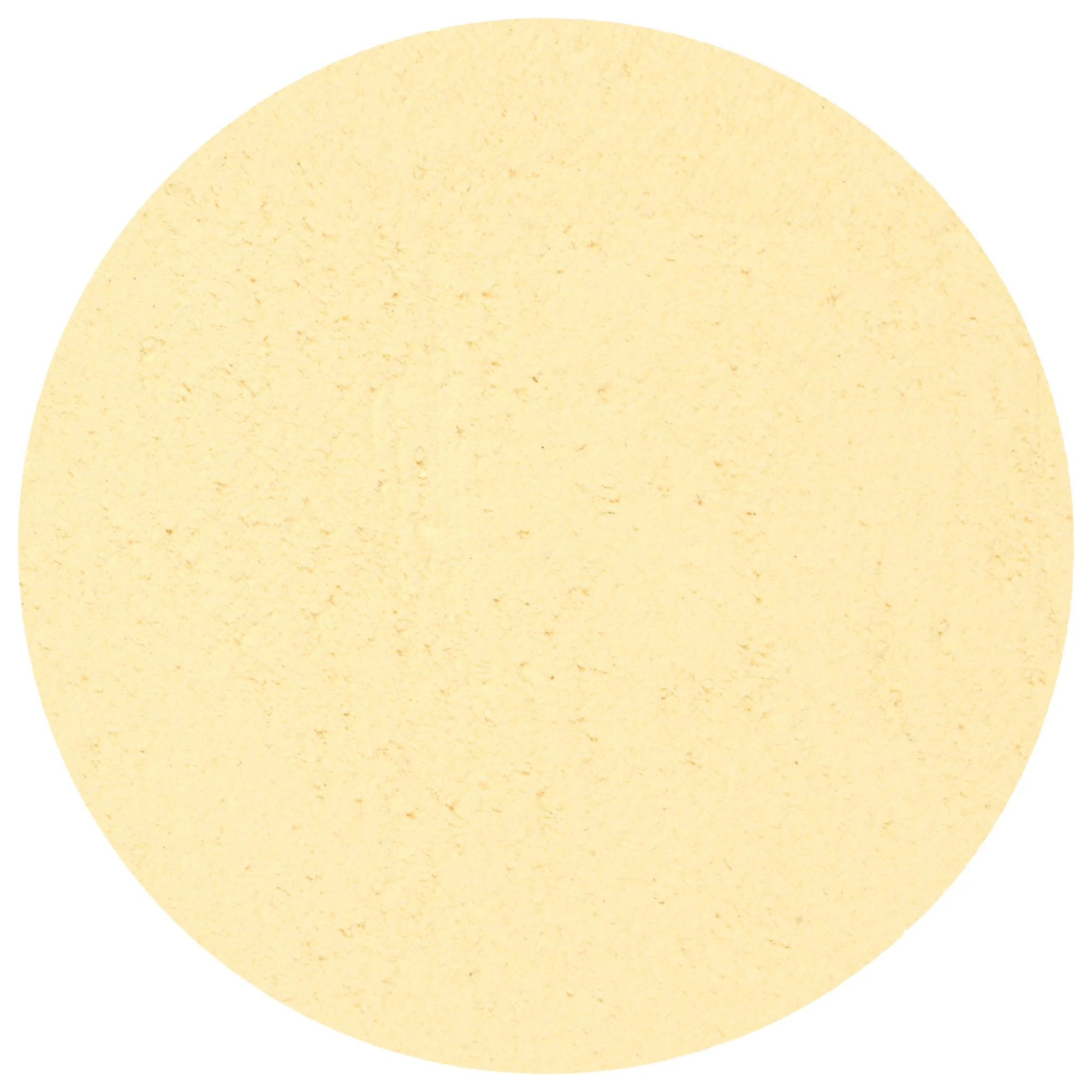 Onion Powder - Image 2