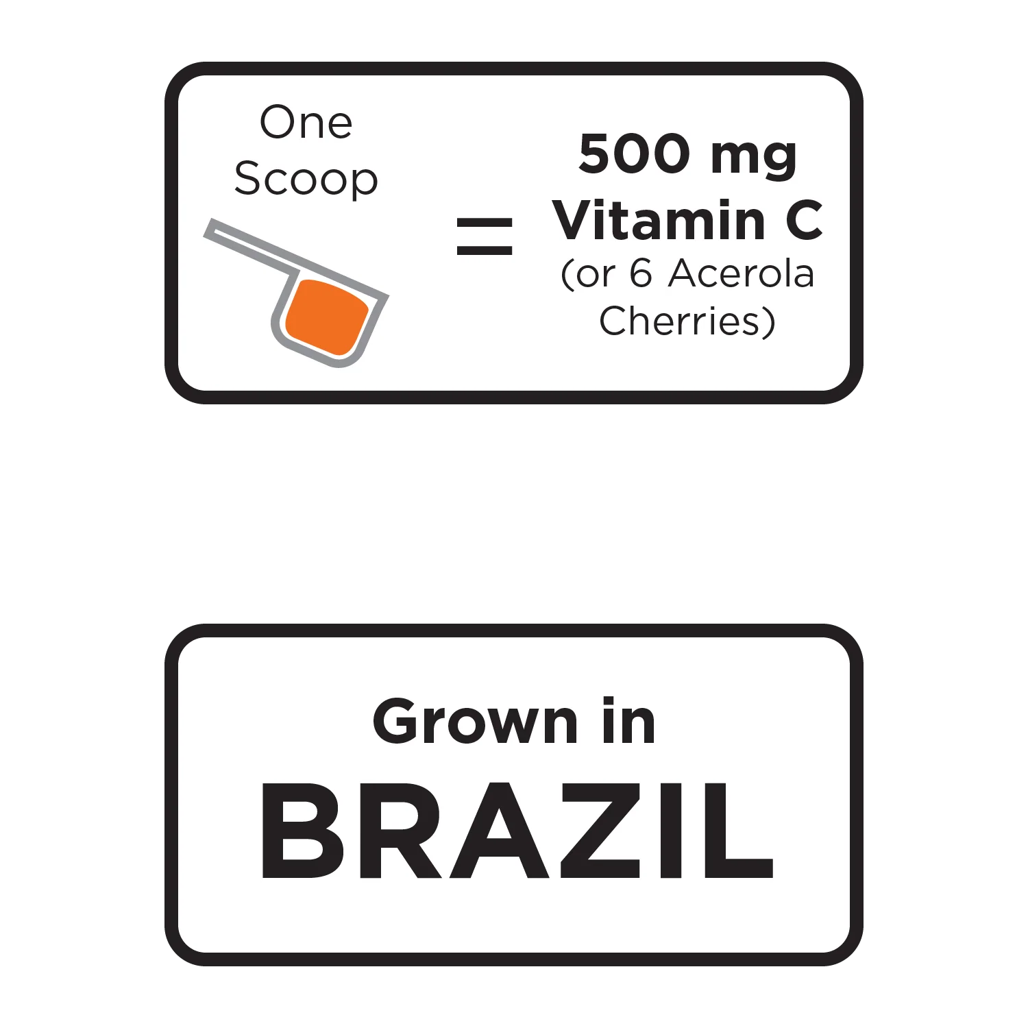 Organic Acerola Powder - Image 2