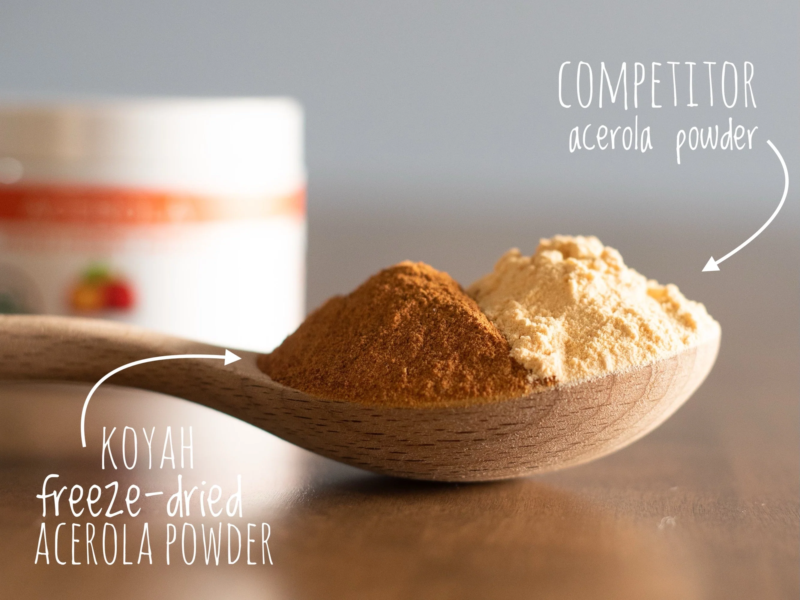 Organic Acerola Powder - Image 3
