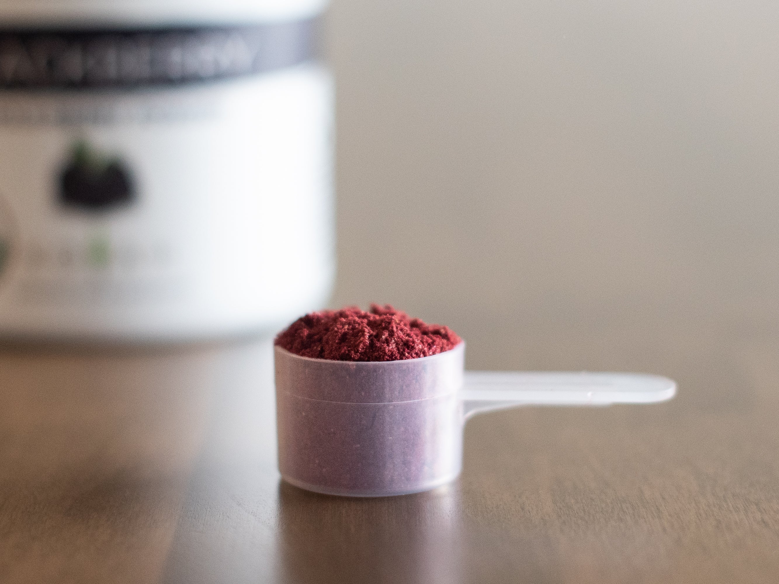 Organic Blackberry Powder - Image 3