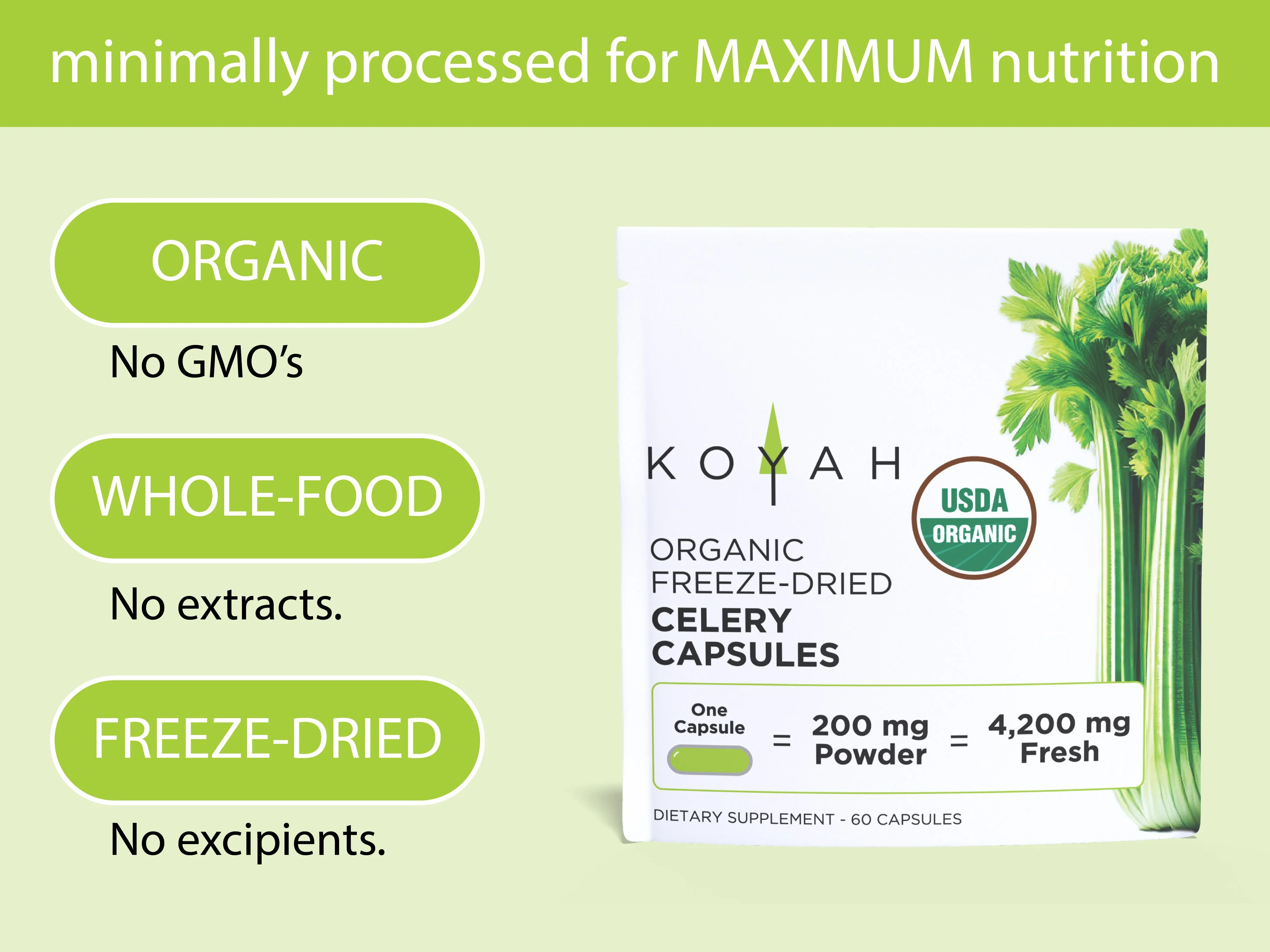 Organic Celery Capsules - Image 3