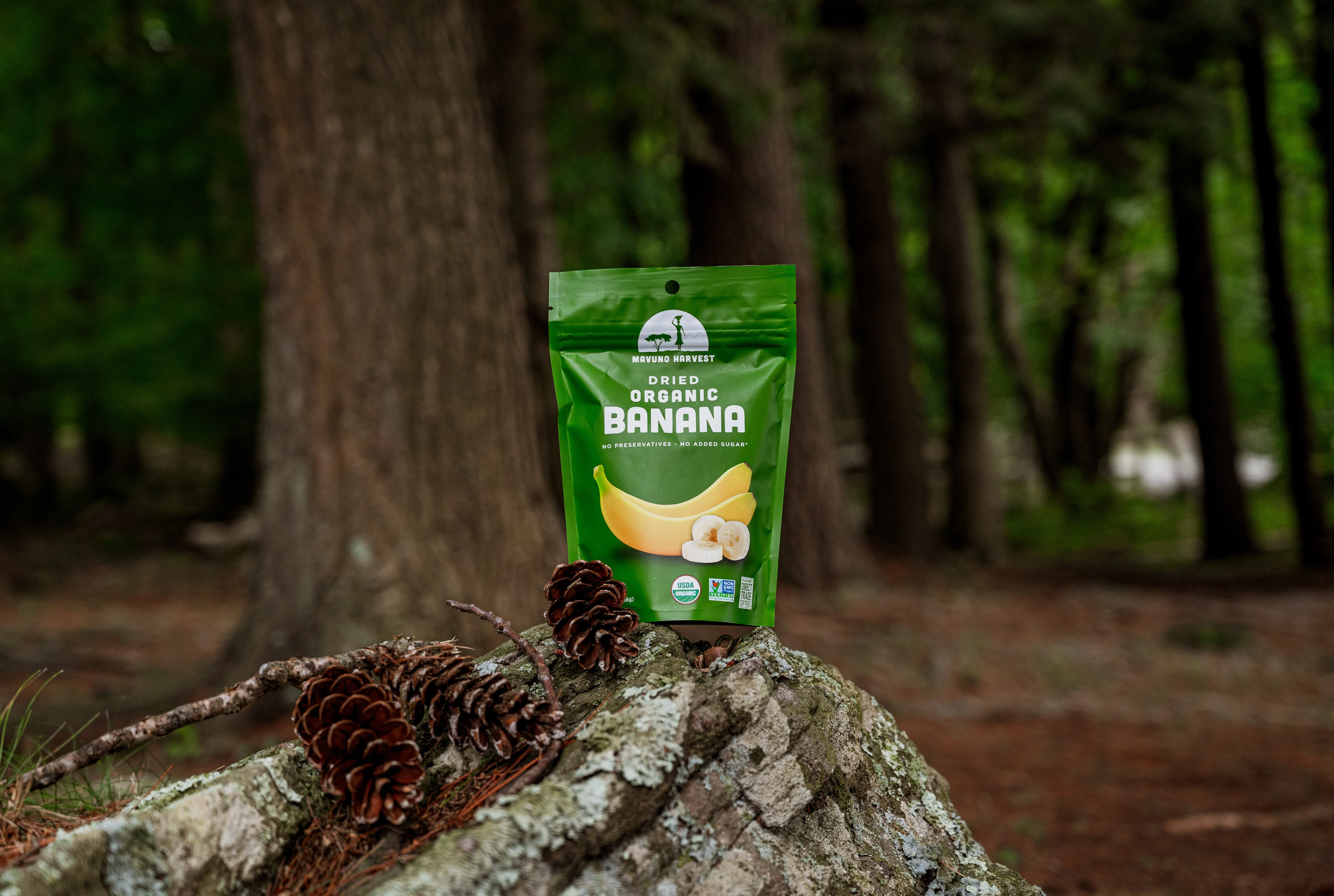 Organic Dried Banana - Image 9