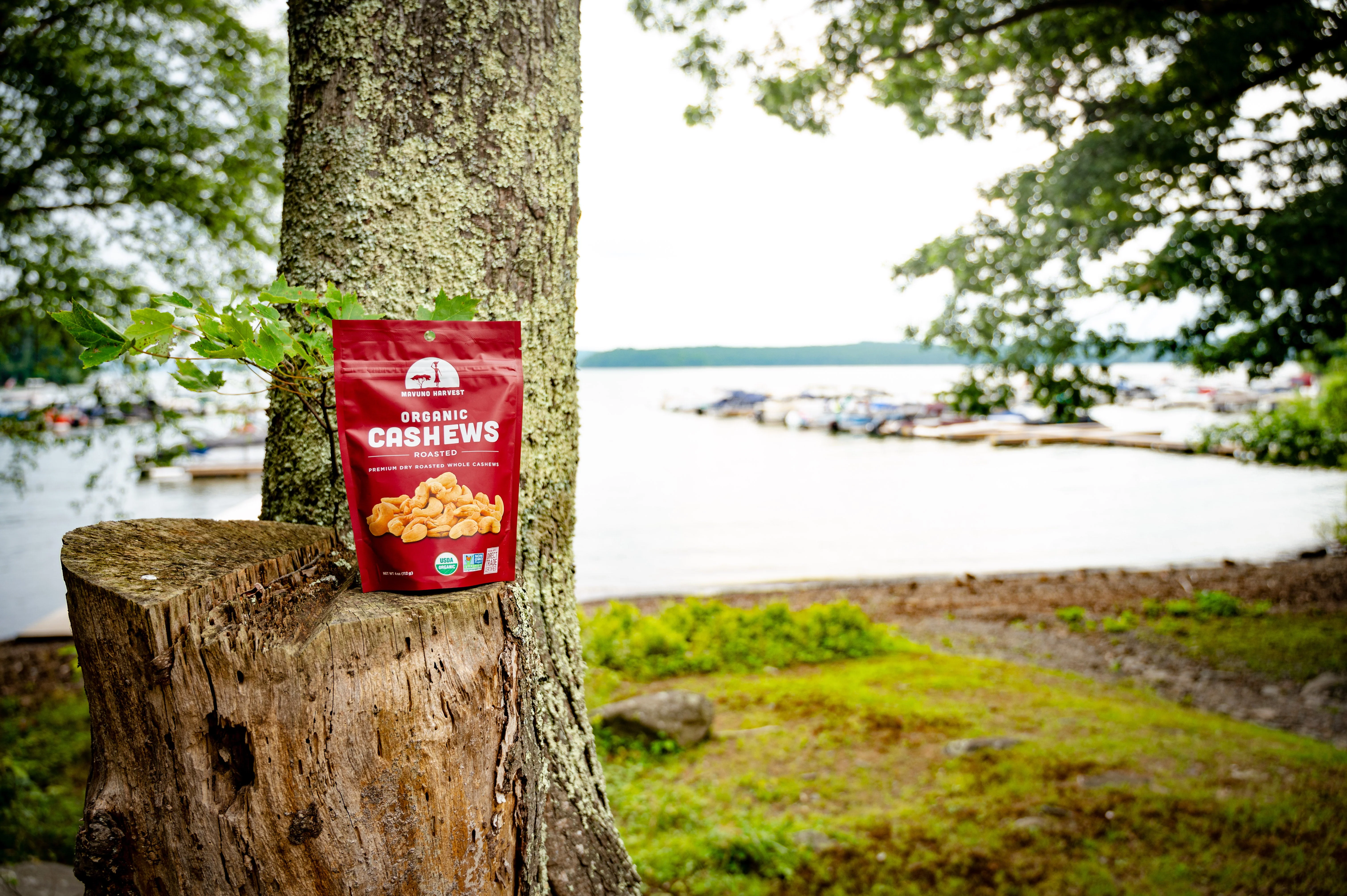 Organic Dry Roasted Cashews - Image 12