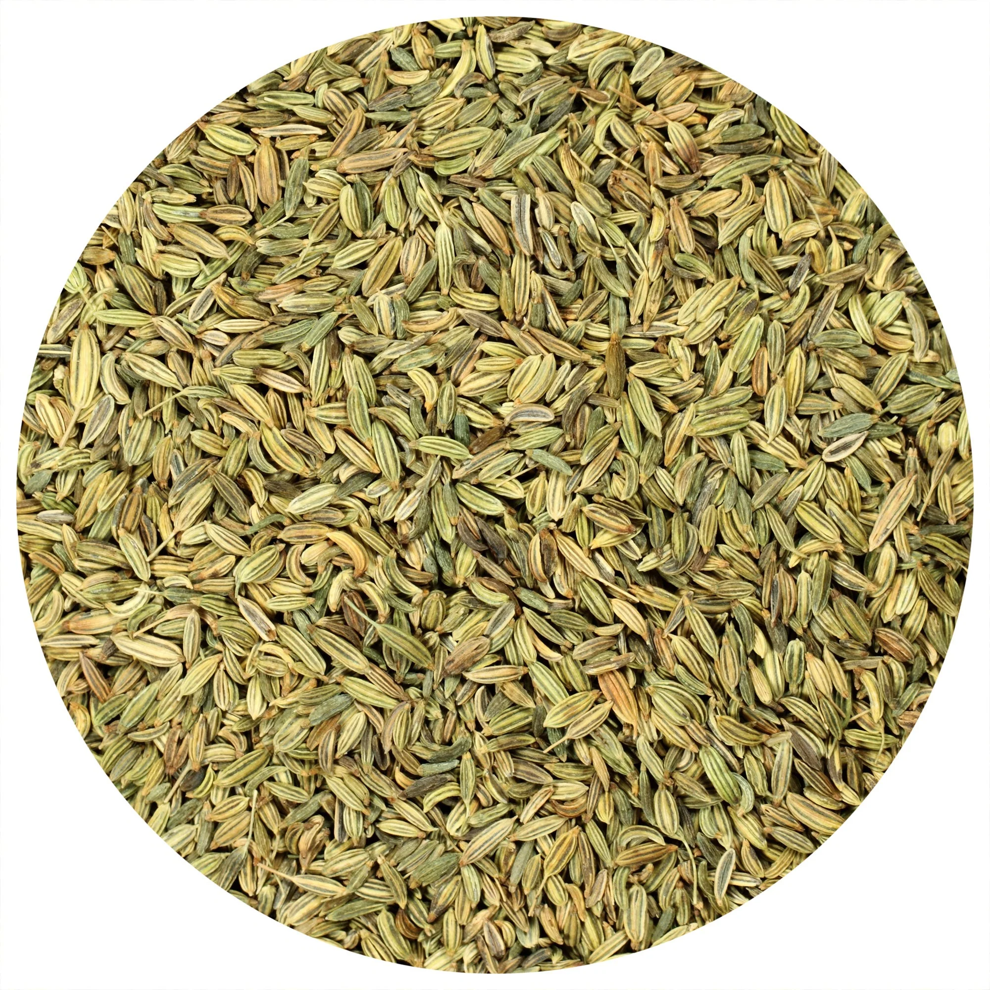 Organic Fennel Seeds - Image 12