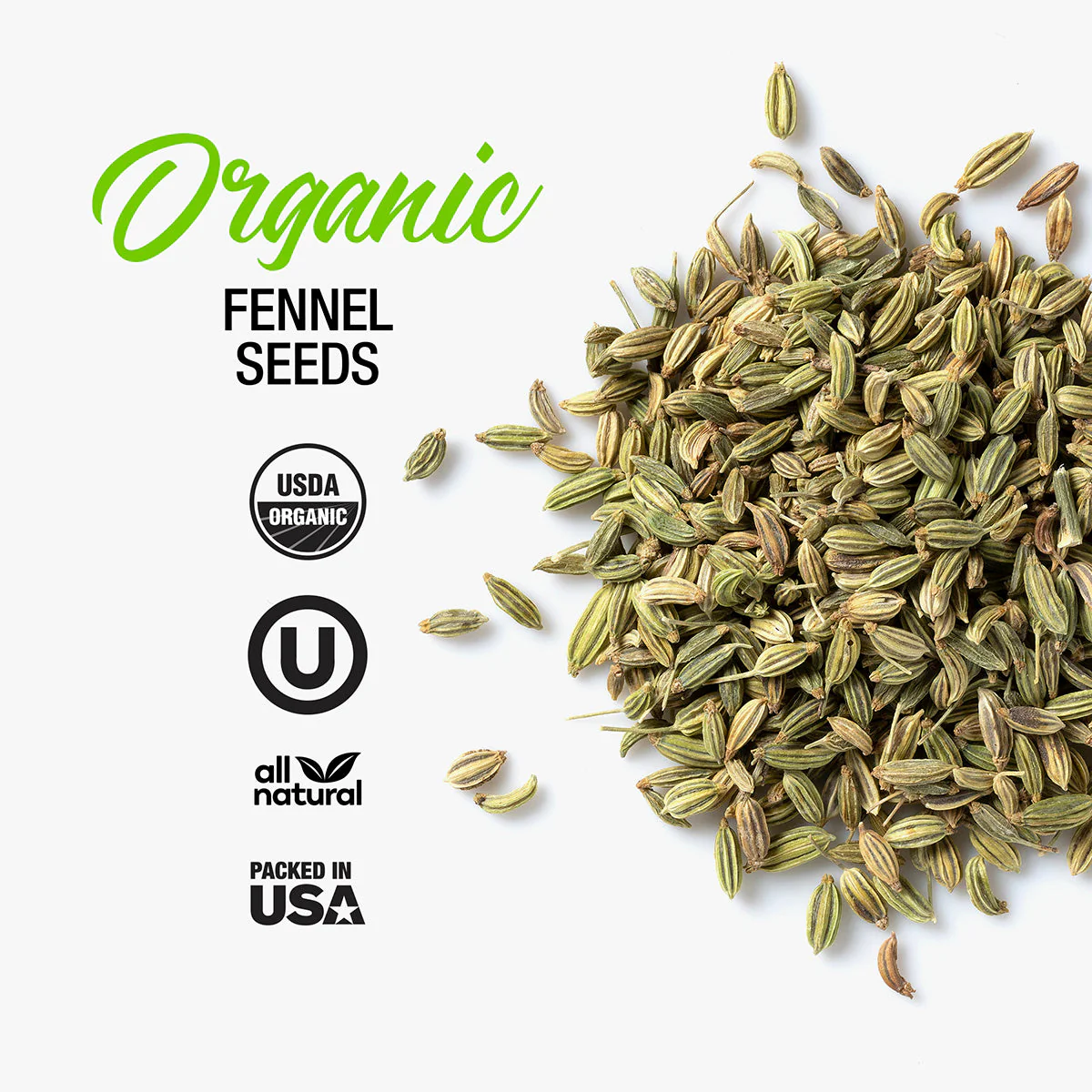 Organic Fennel Seeds - Image 2