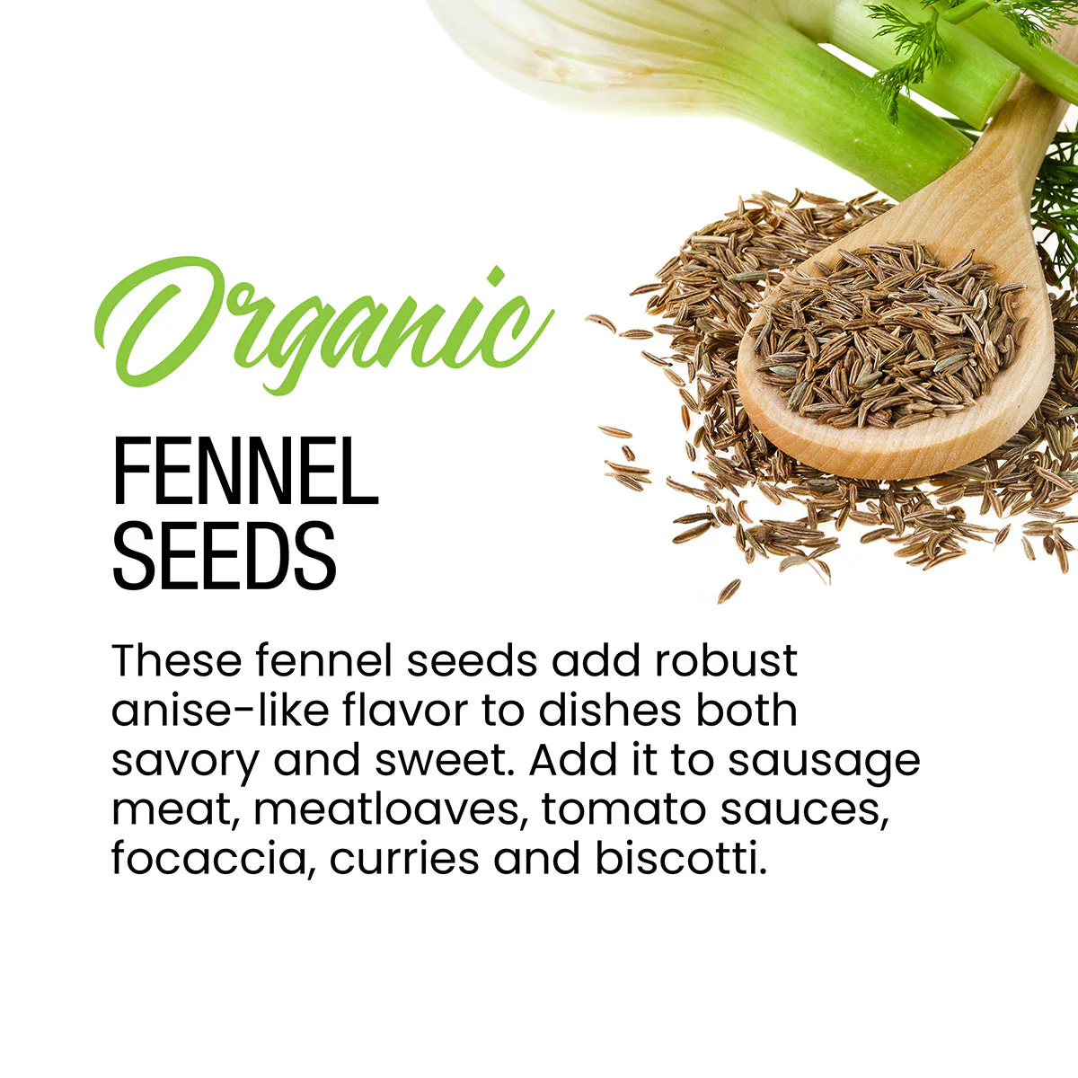 Organic Fennel Seeds - Image 4