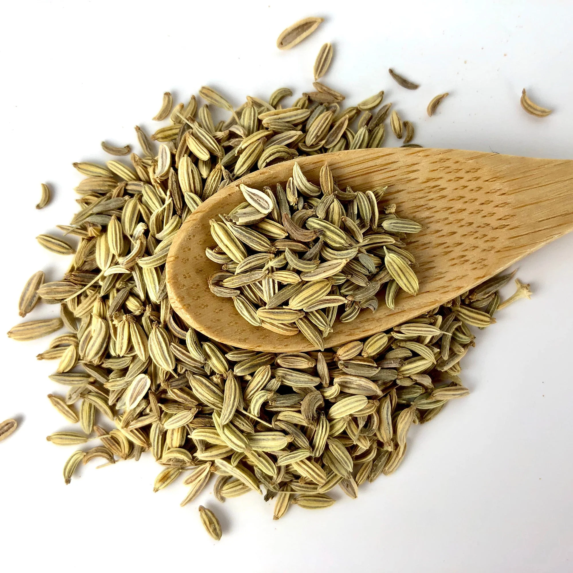 Organic Fennel Seeds - Image 5
