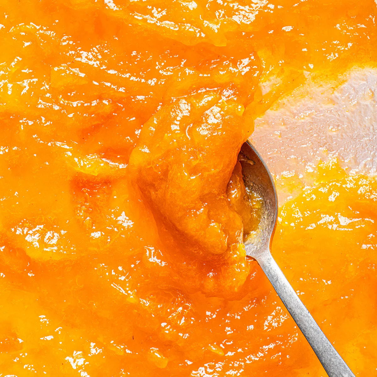 Organic Fruit Spread Apricot - Image 4
