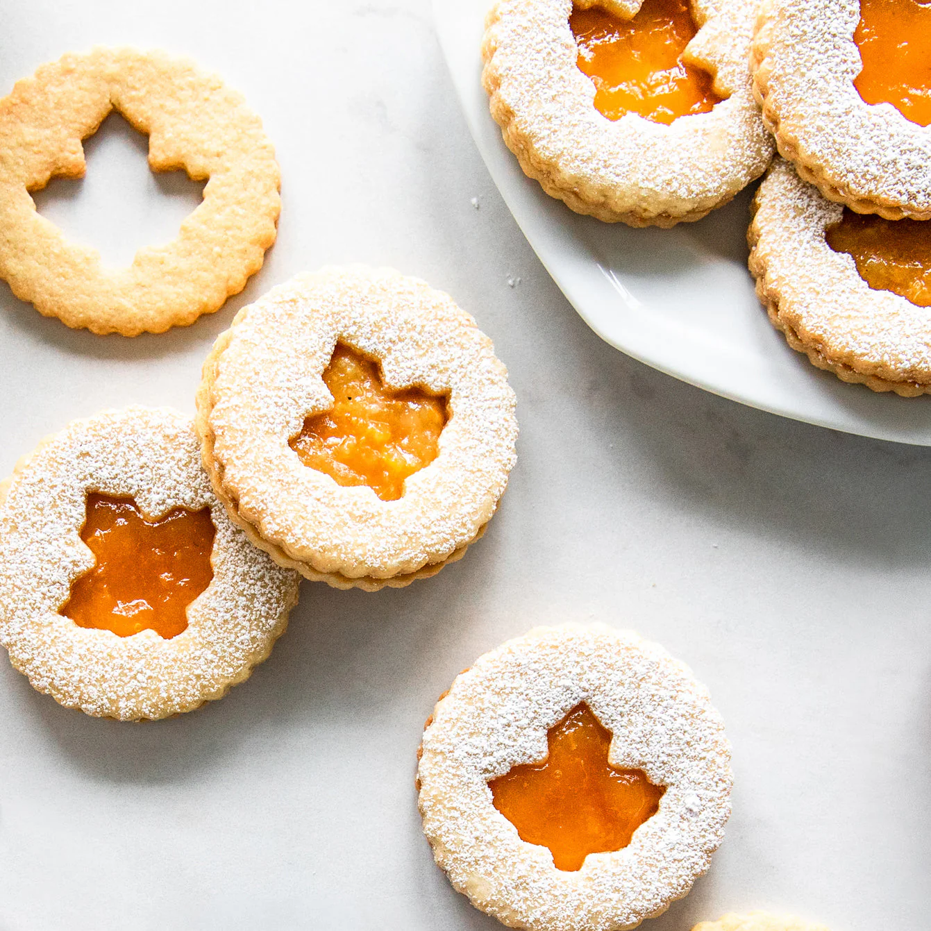 Organic Fruit Spread Apricot - Image 6