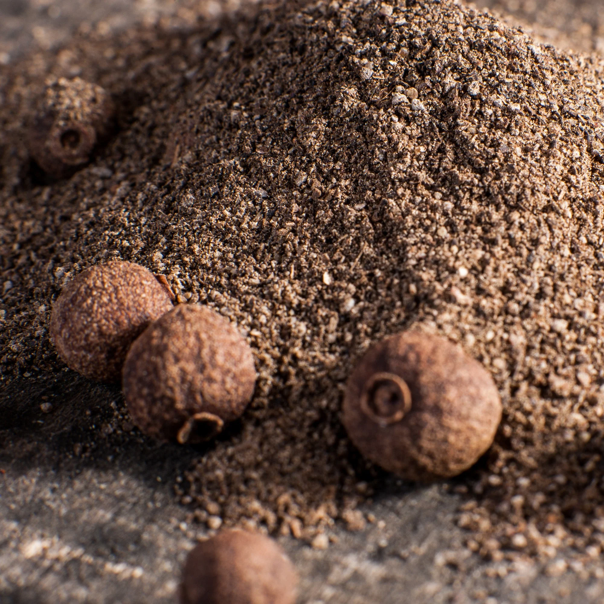 Organic Ground Allspice - Image 5