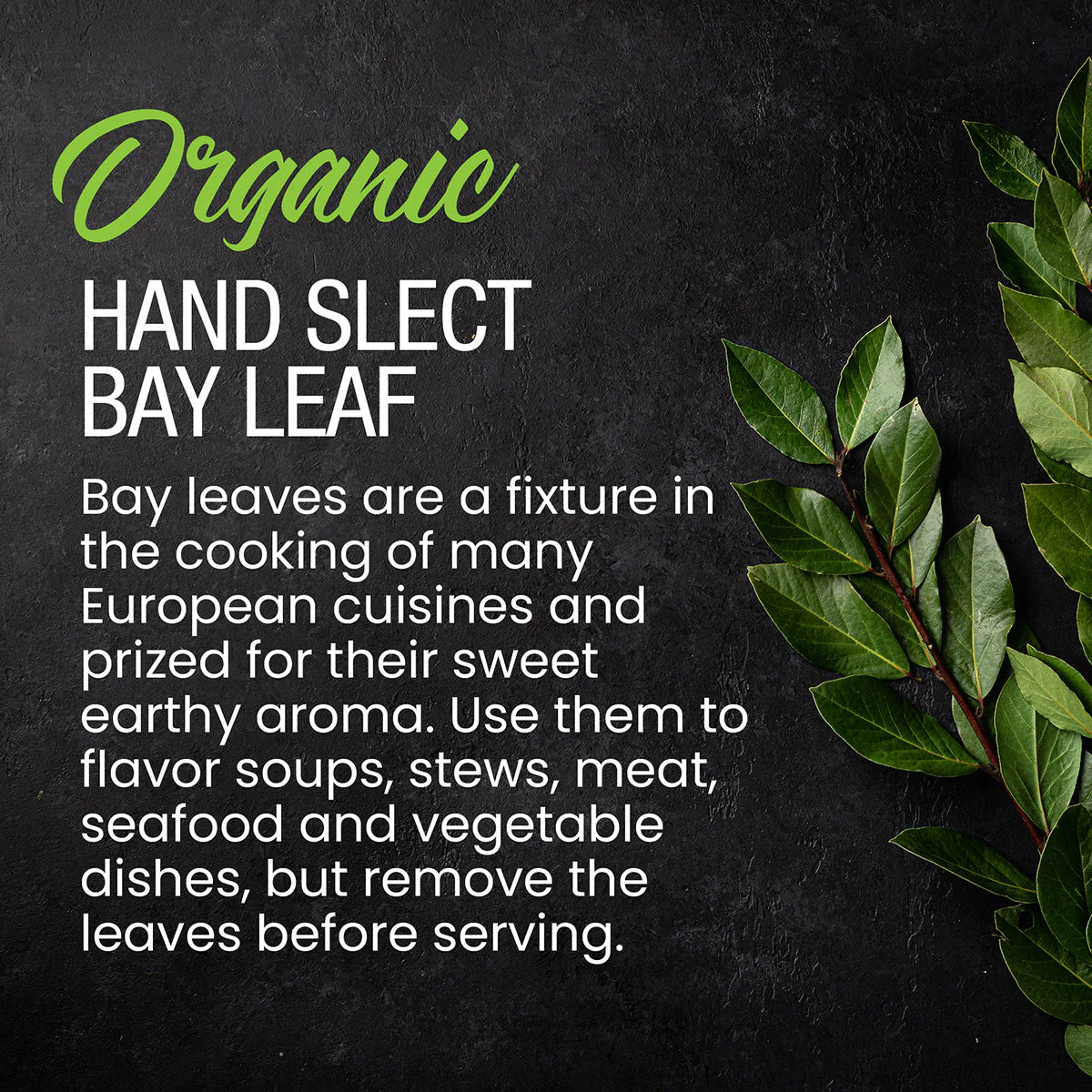 Organic Hand Select Bay Leaf - Image 4