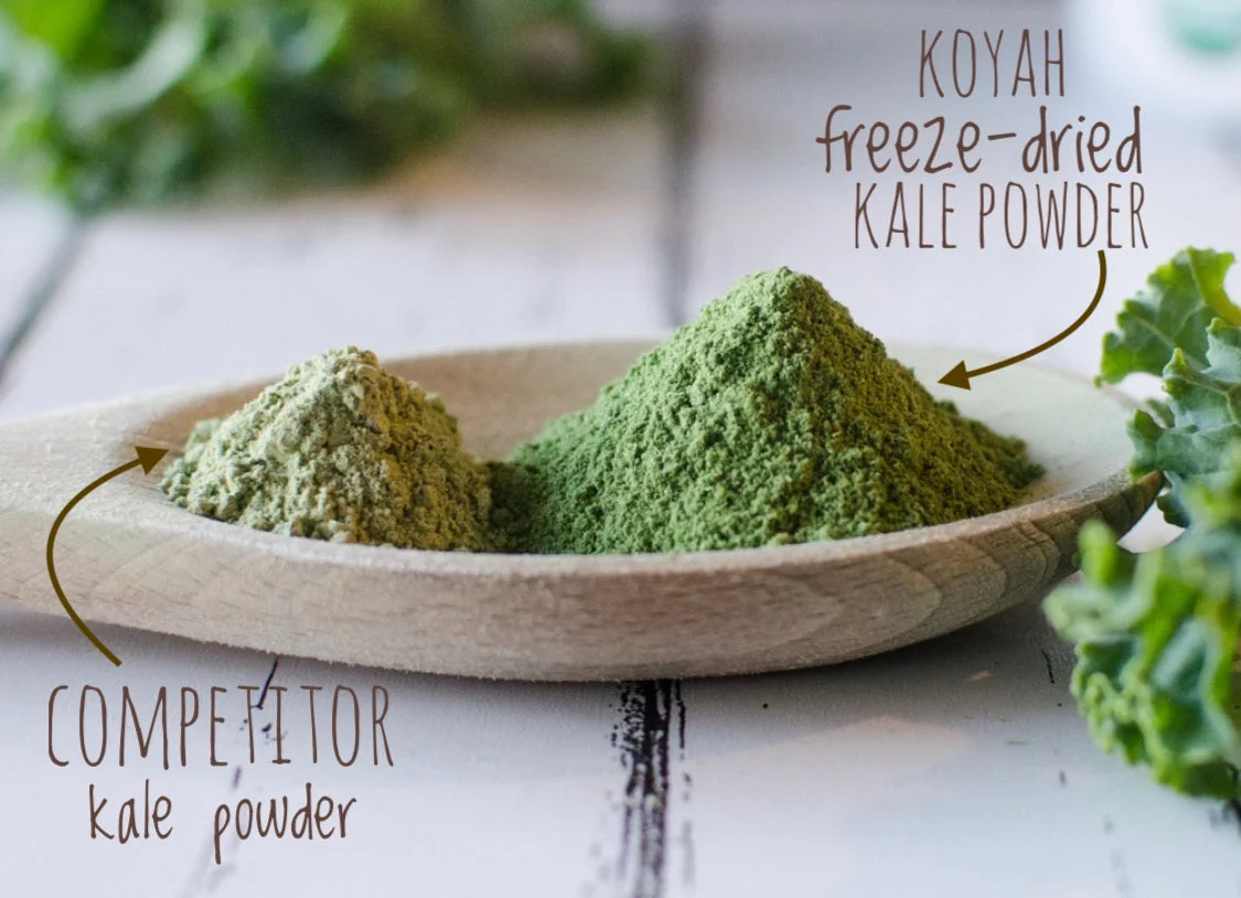 Organic Kale Powder - Image 3
