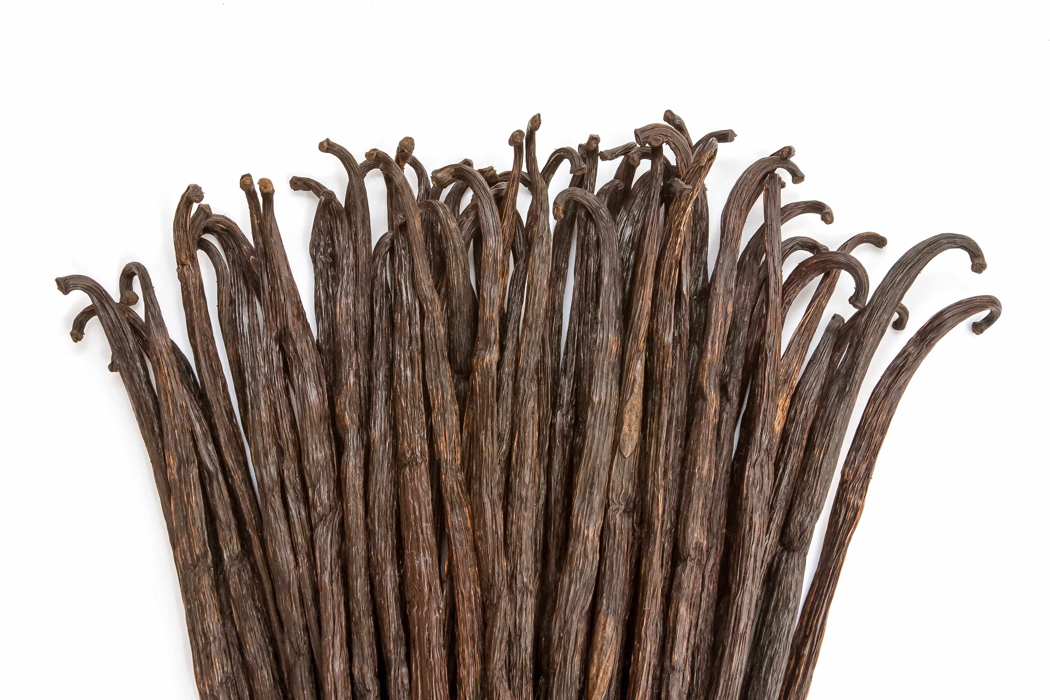 Organic Madagascar Vanilla Beans - Whole Grade B Pods for Extract Making - Image 6