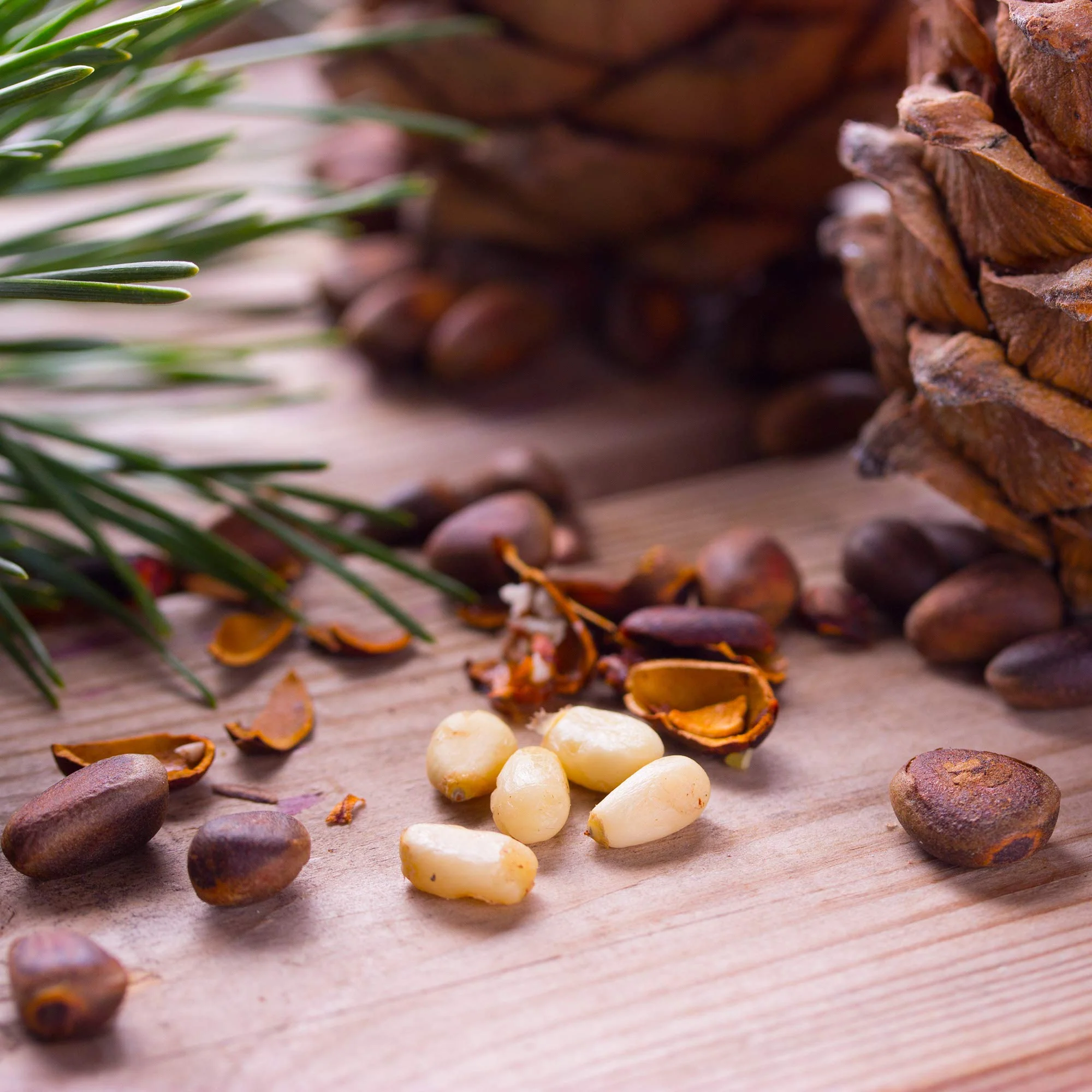 Organic Pine Nuts - Image 7