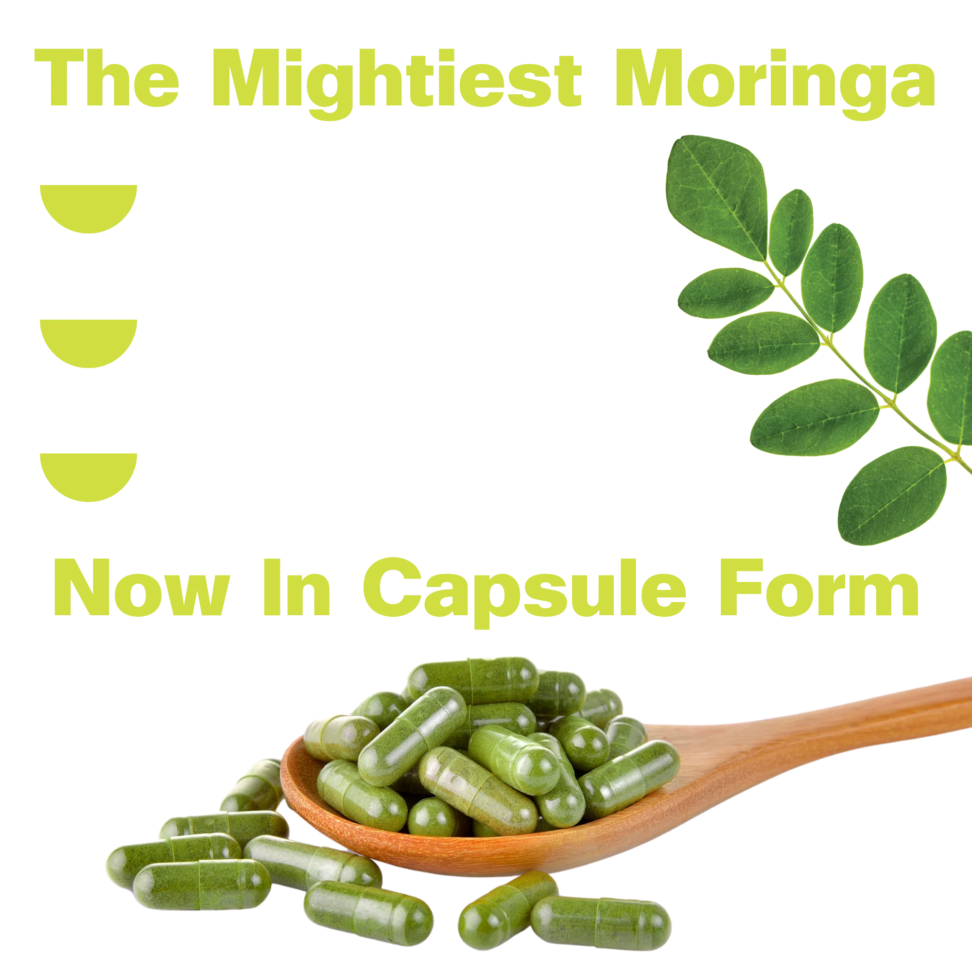 Organic Pure Moringa Powder Capsules (60-Count) - Image 4