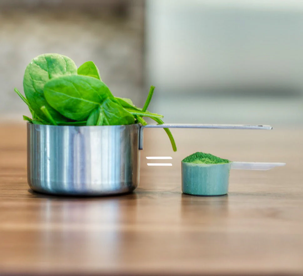Organic Spinach Powder - Image 4