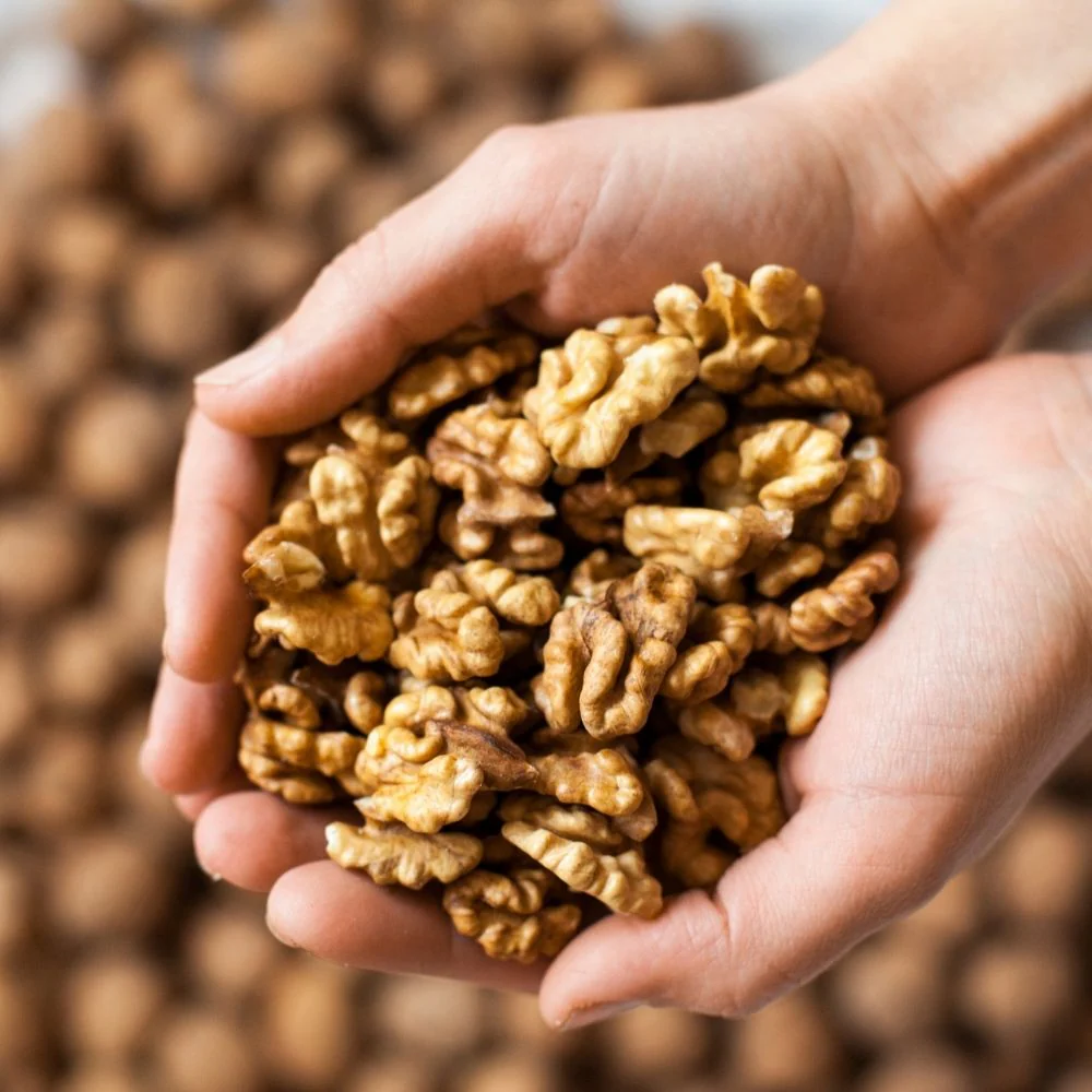 Organic Sprouted Walnut Halves - Image 3