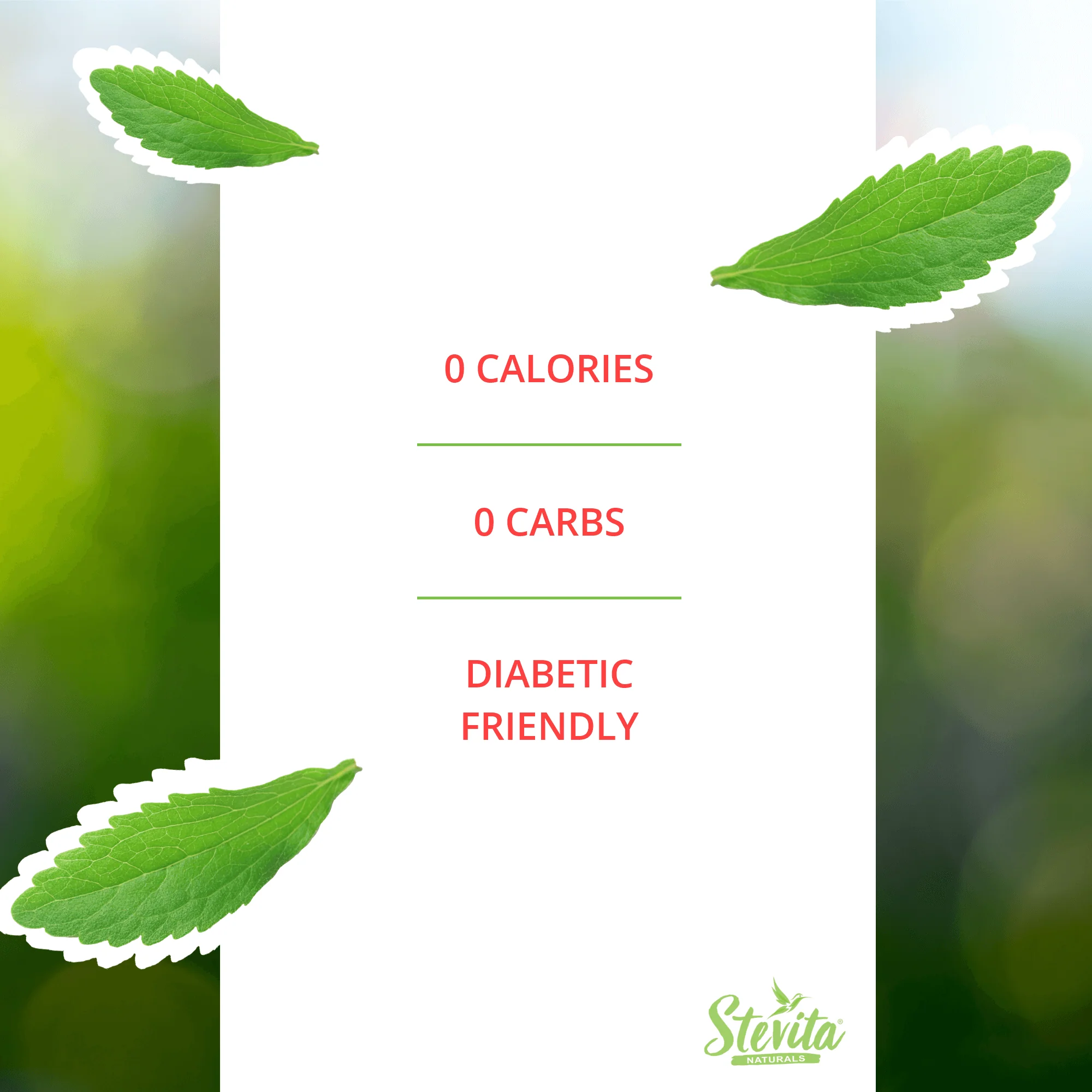 Organic Stevita Drops - Flavors - Natural Vanilla - Image 4