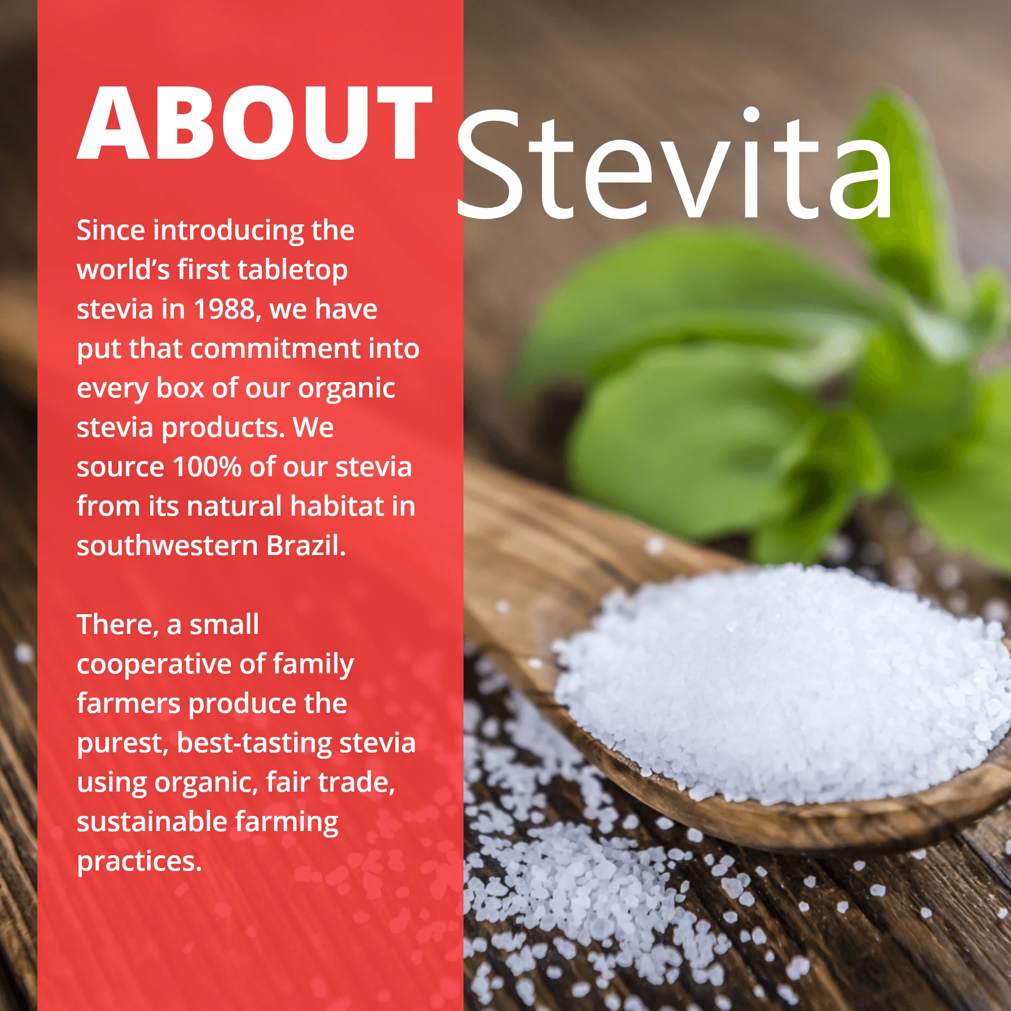 Organic Stevita Drops - Flavors - Natural Vanilla - Image 8
