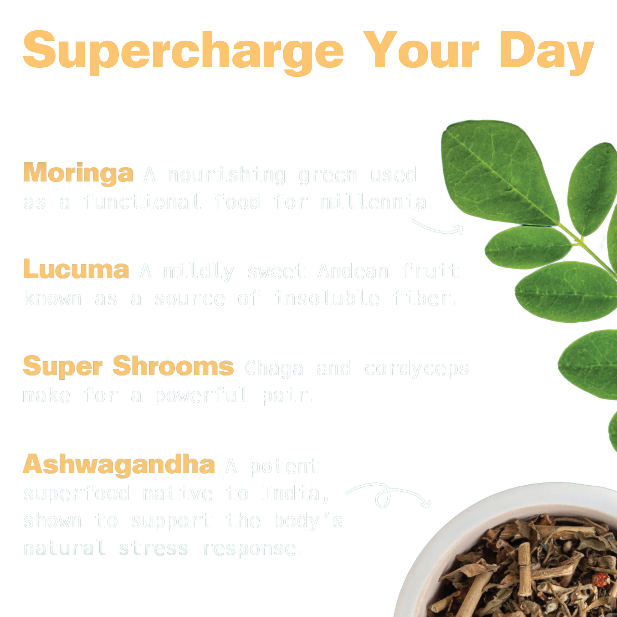 Organic Superfood Energy Shake - Chocolate Peanut Butter - Image 4
