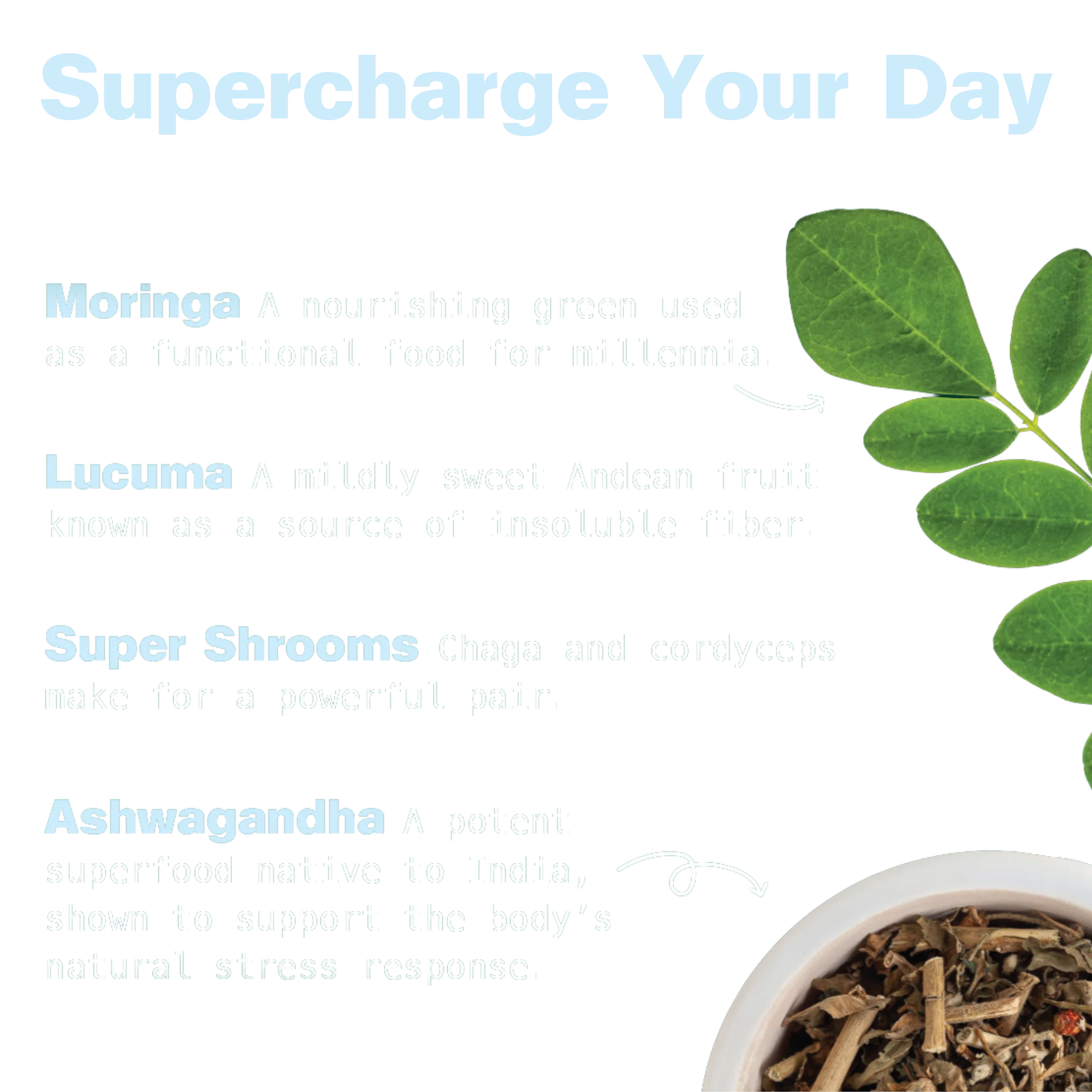 Organic Superfood Energy Shake - Vanilla - Image 4