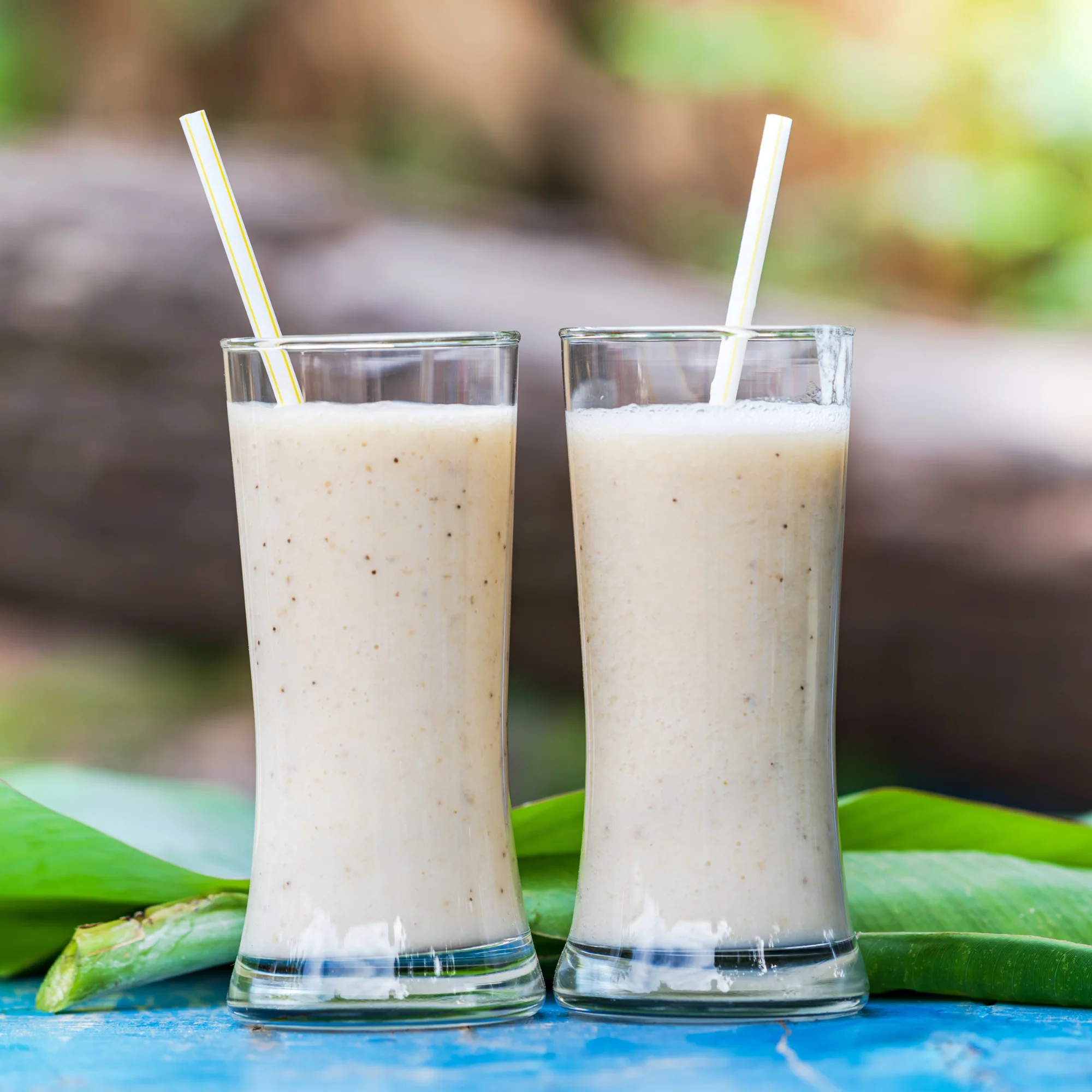 Organic Superfood Energy Shake - Vanilla - Image 8