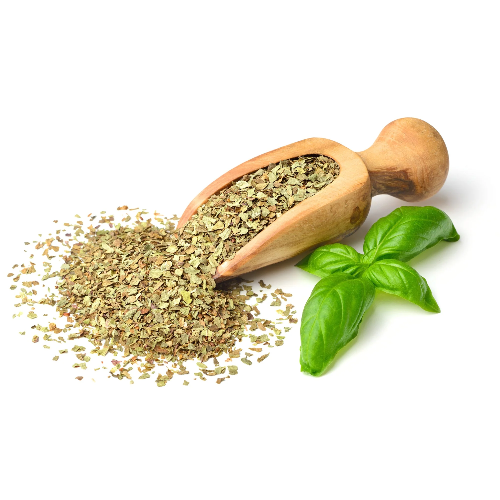 Organic Sweet Basil - Image 11