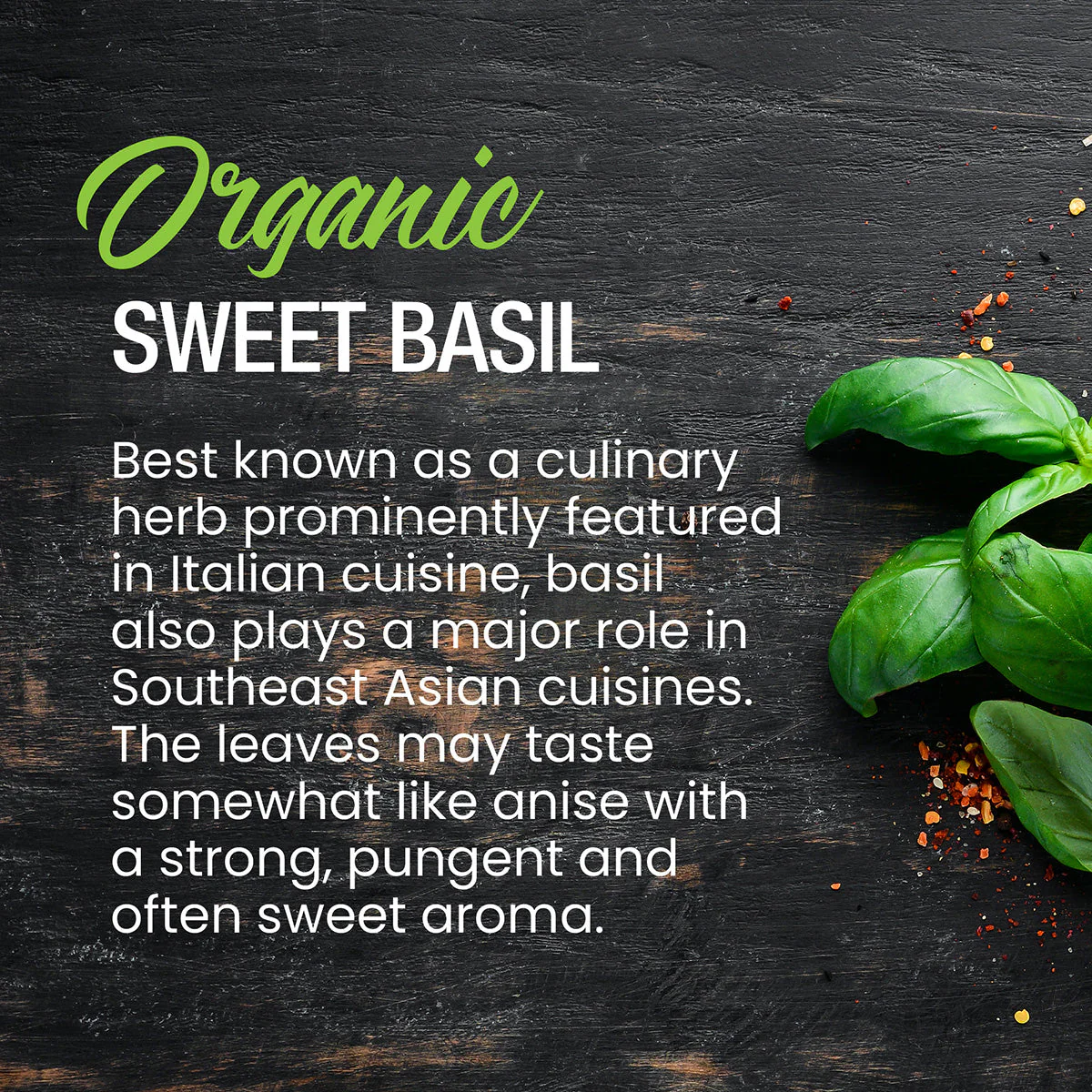 Organic Sweet Basil - Image 4