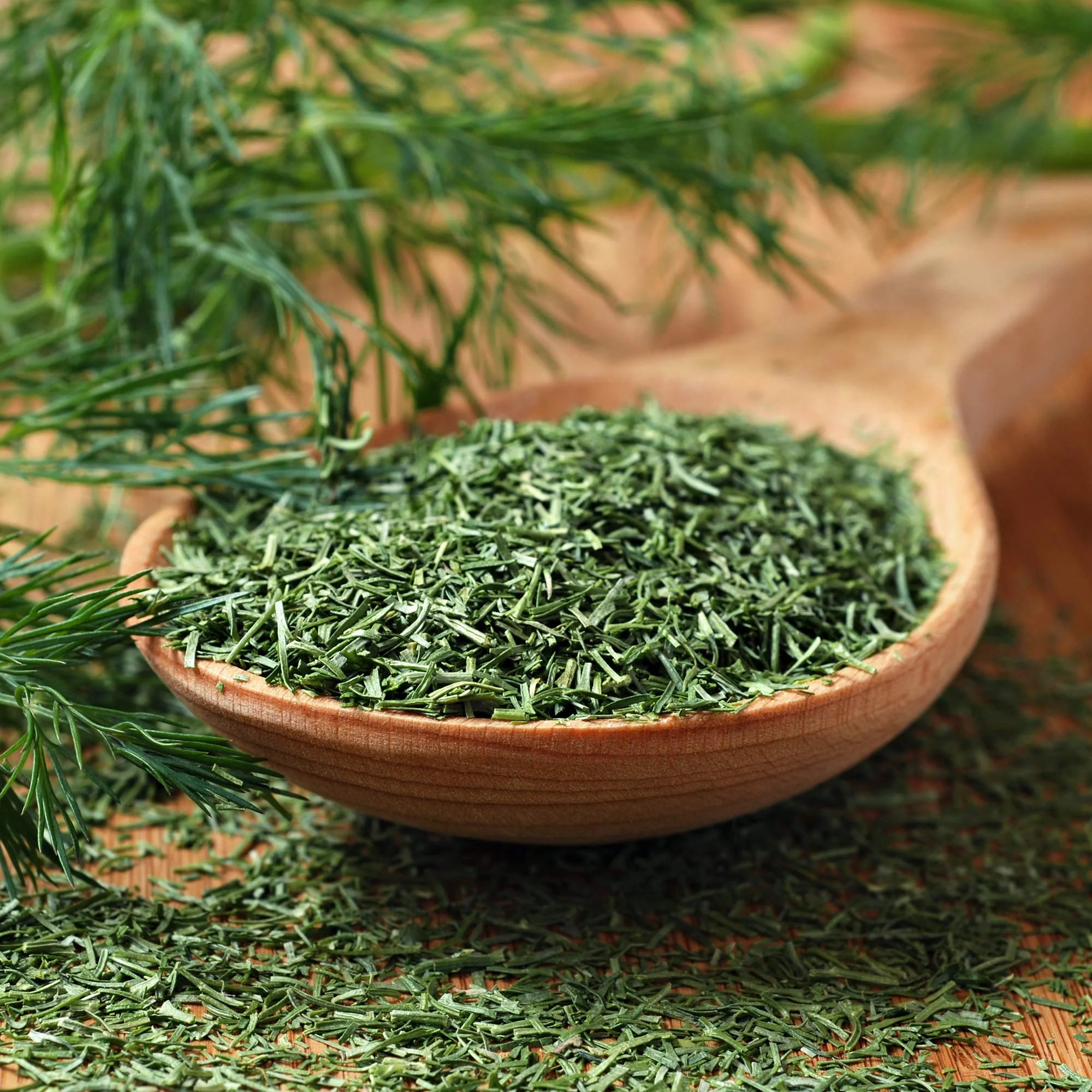 Organic Whole Dill Weed - Image 5