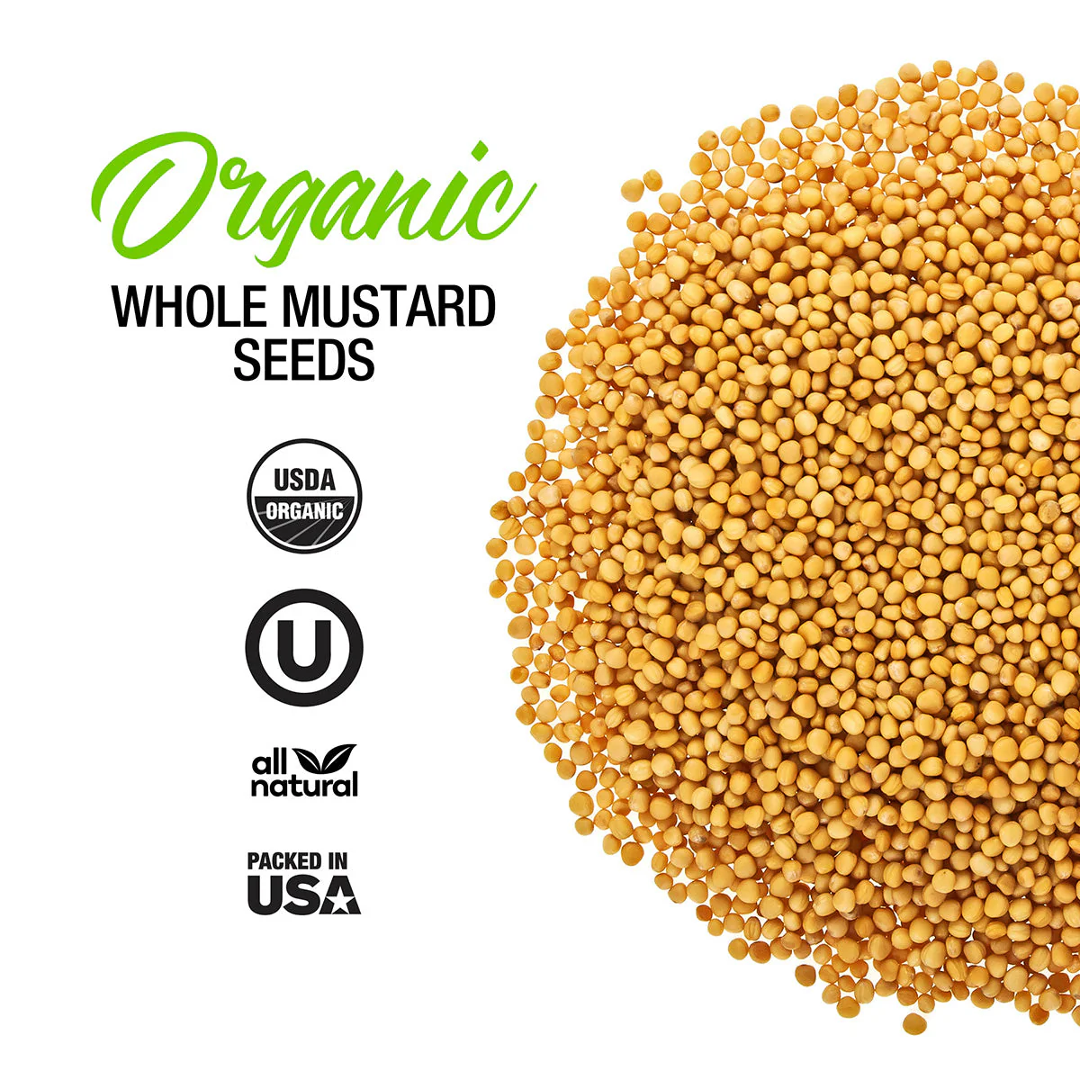 Organic Whole Mustard Seeds - Image 2