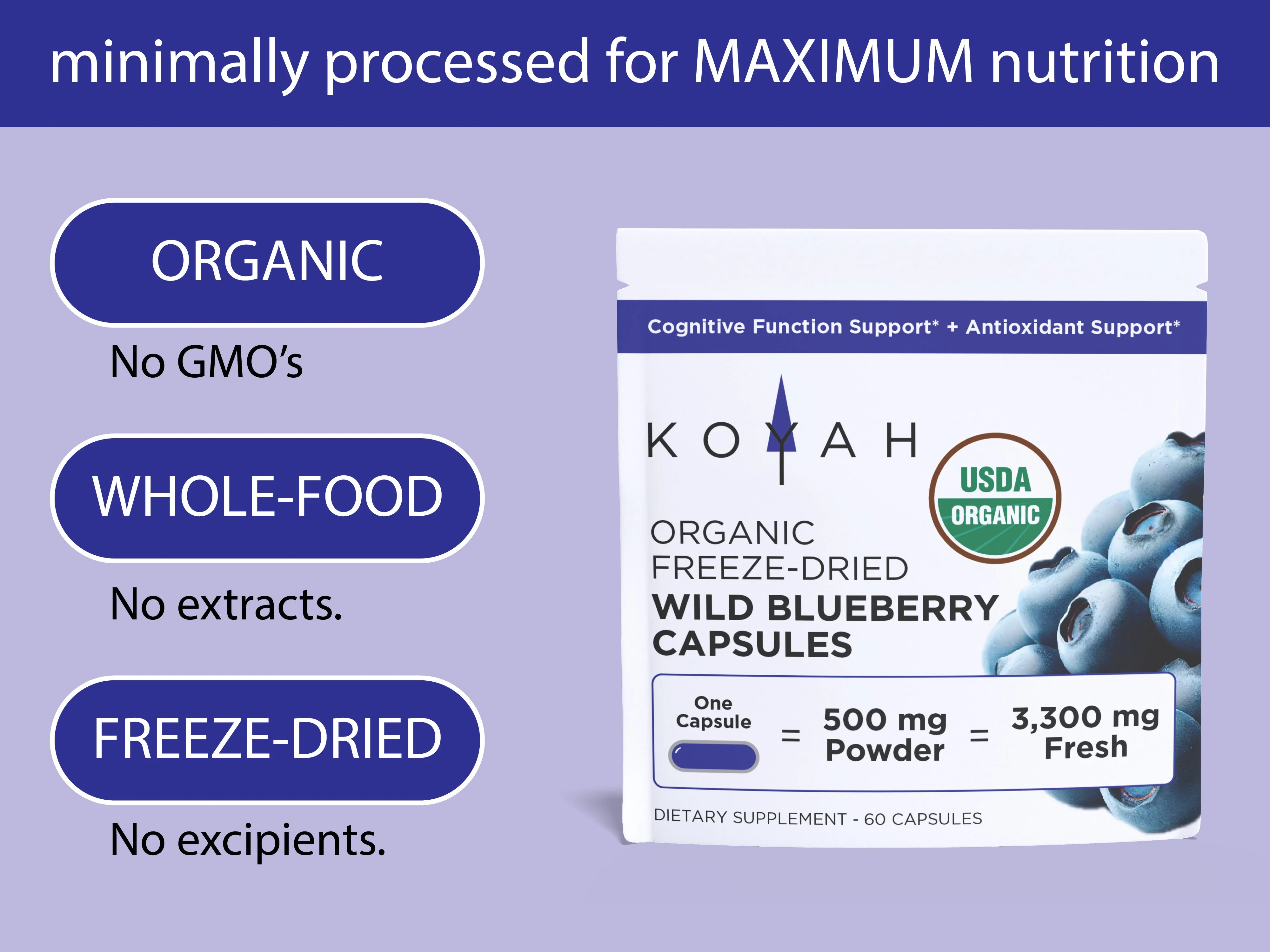 Organic Wild Blueberry Capsules - Image 3