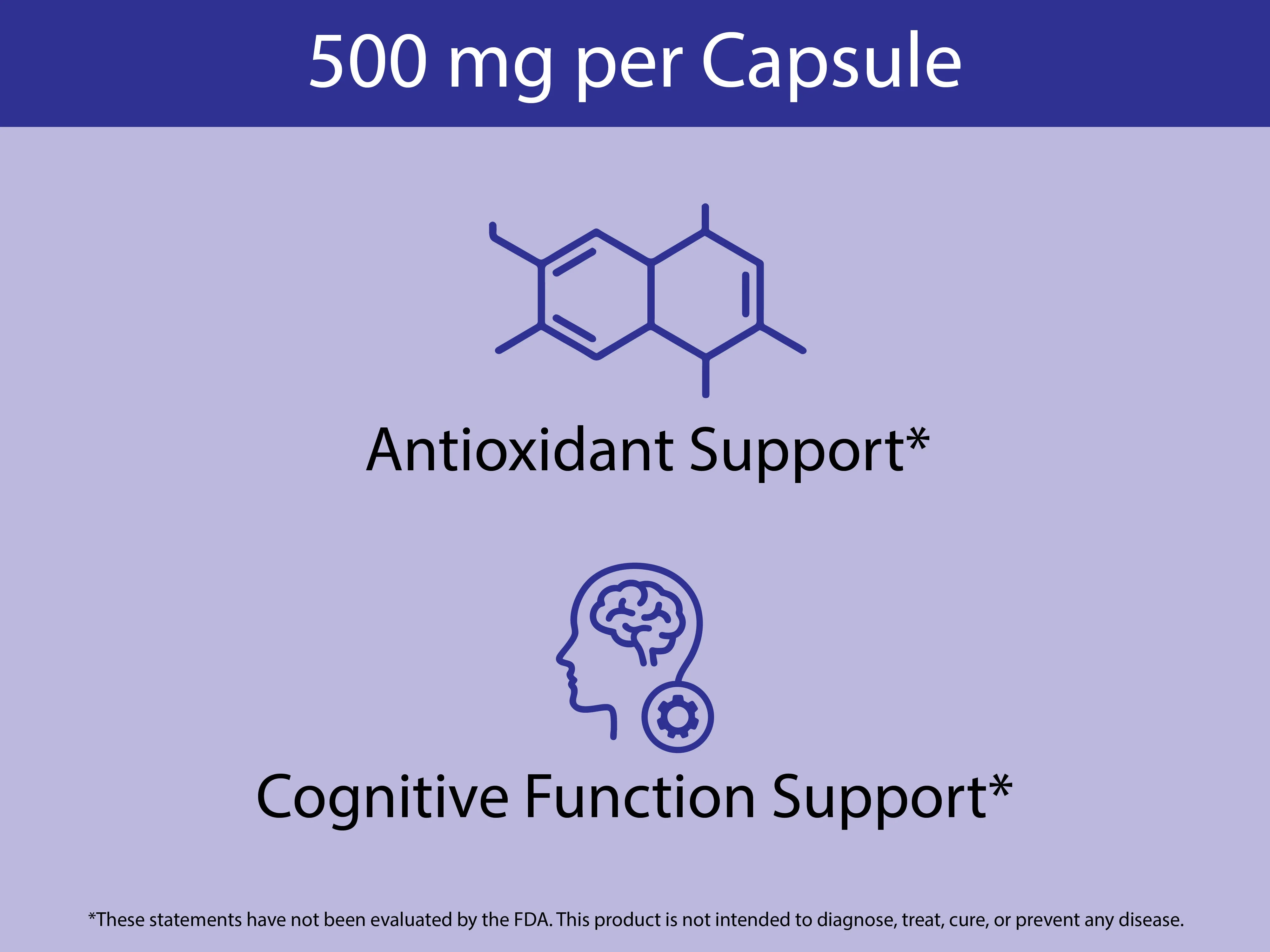 Organic Wild Blueberry Capsules - Image 5