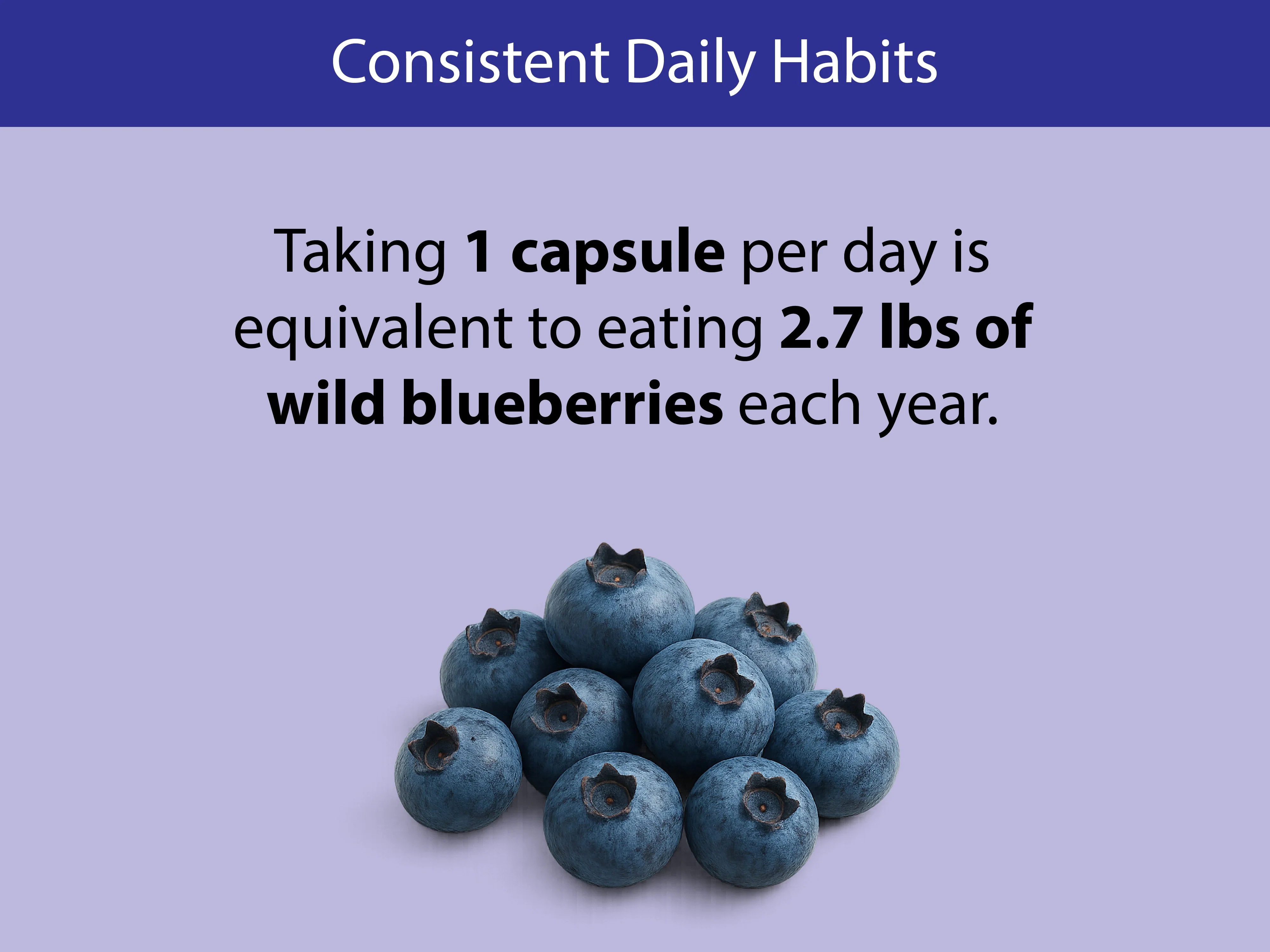 Organic Wild Blueberry Capsules - Image 6