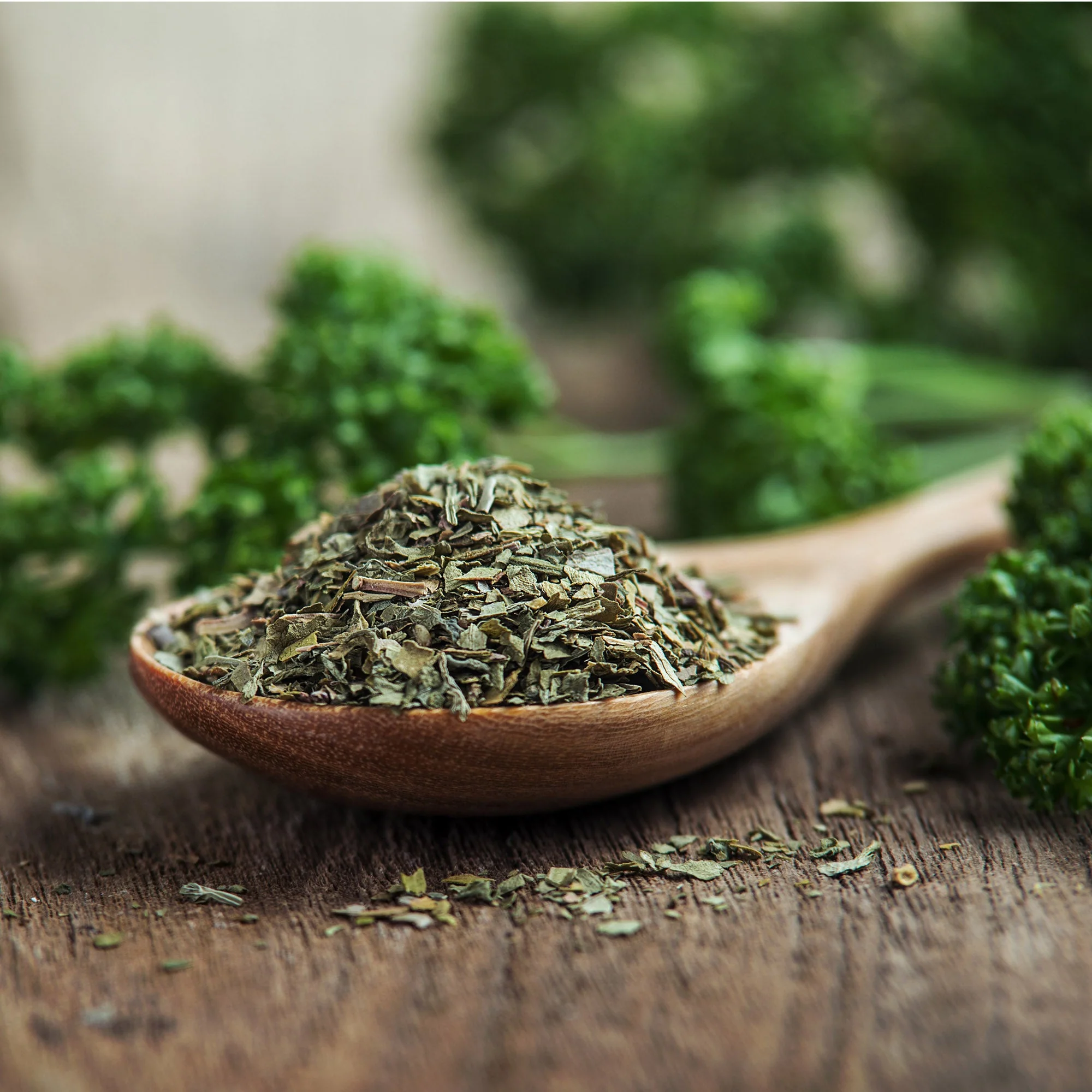 Parsley - Image 10