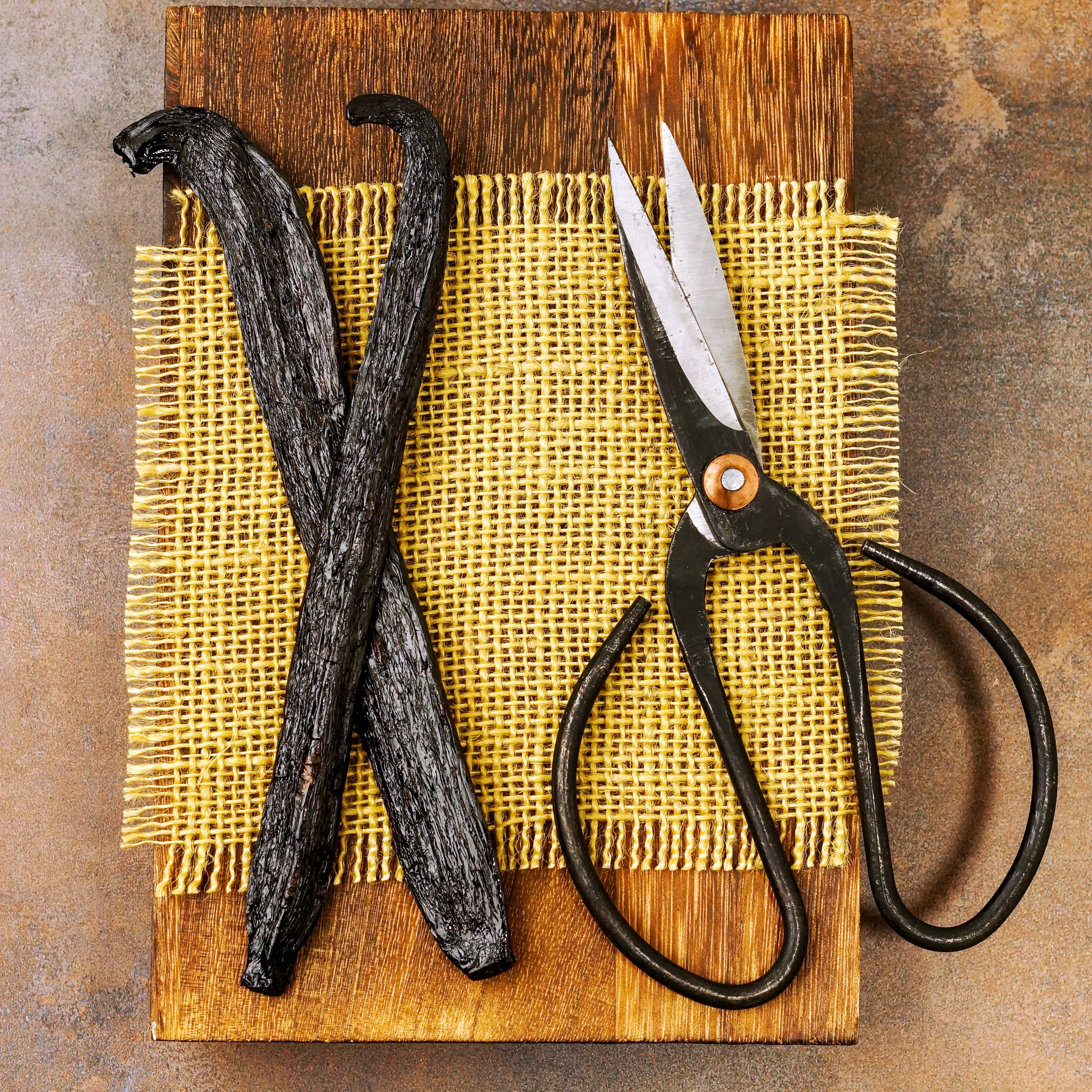 Peruvian Vanilla Beans - Whole Grade A Vanilla Pods for Vanilla Extract and Baking - Image 3