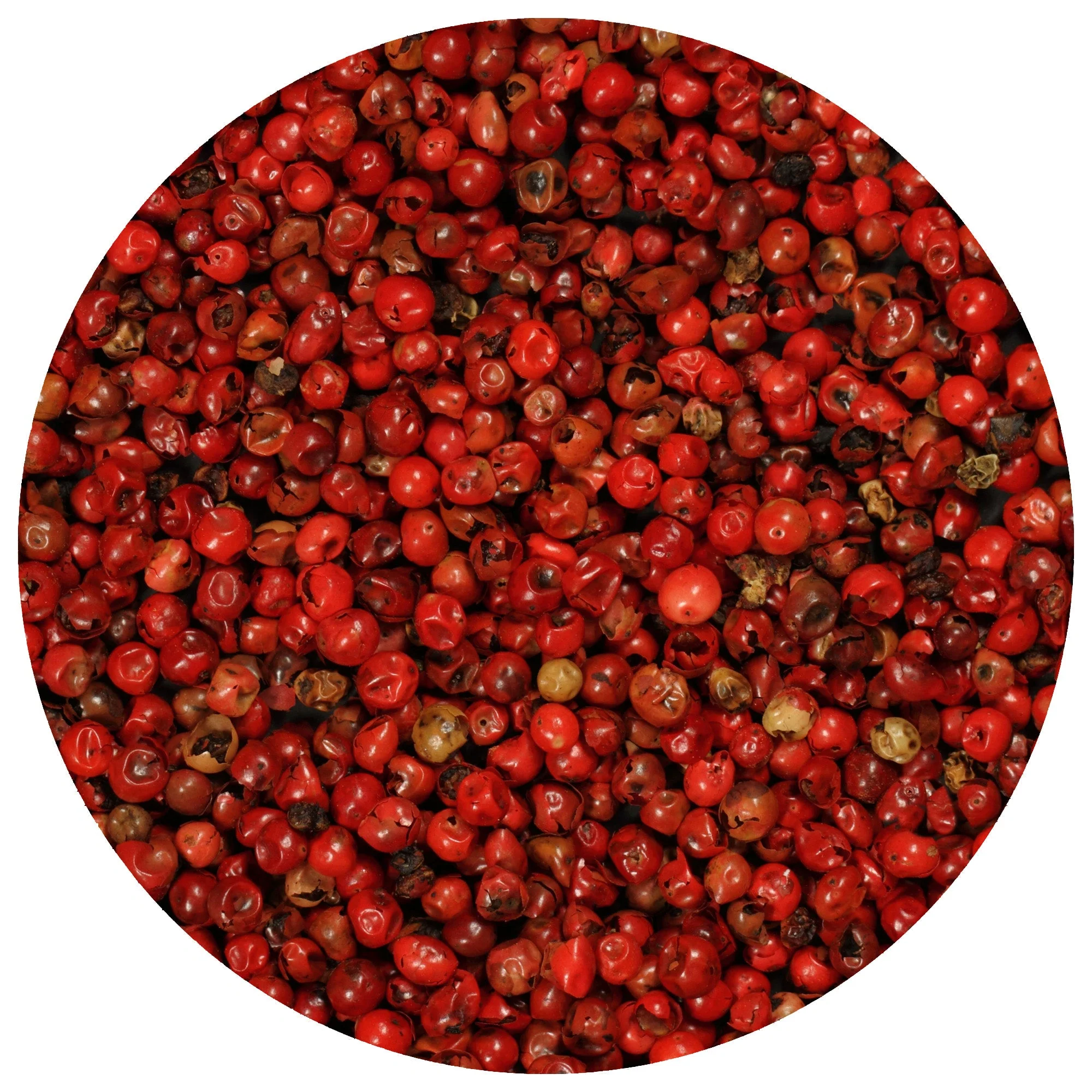 Pink Pepper Berries (Whole) - Image 2