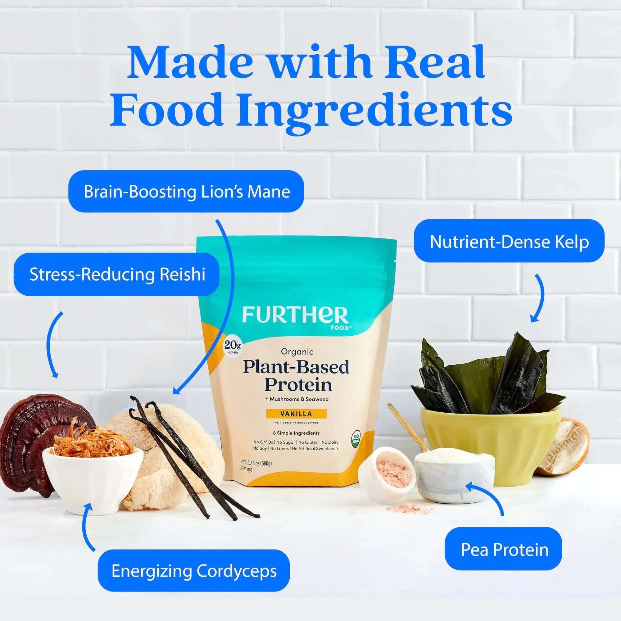Plant-Based Protein - Image 2