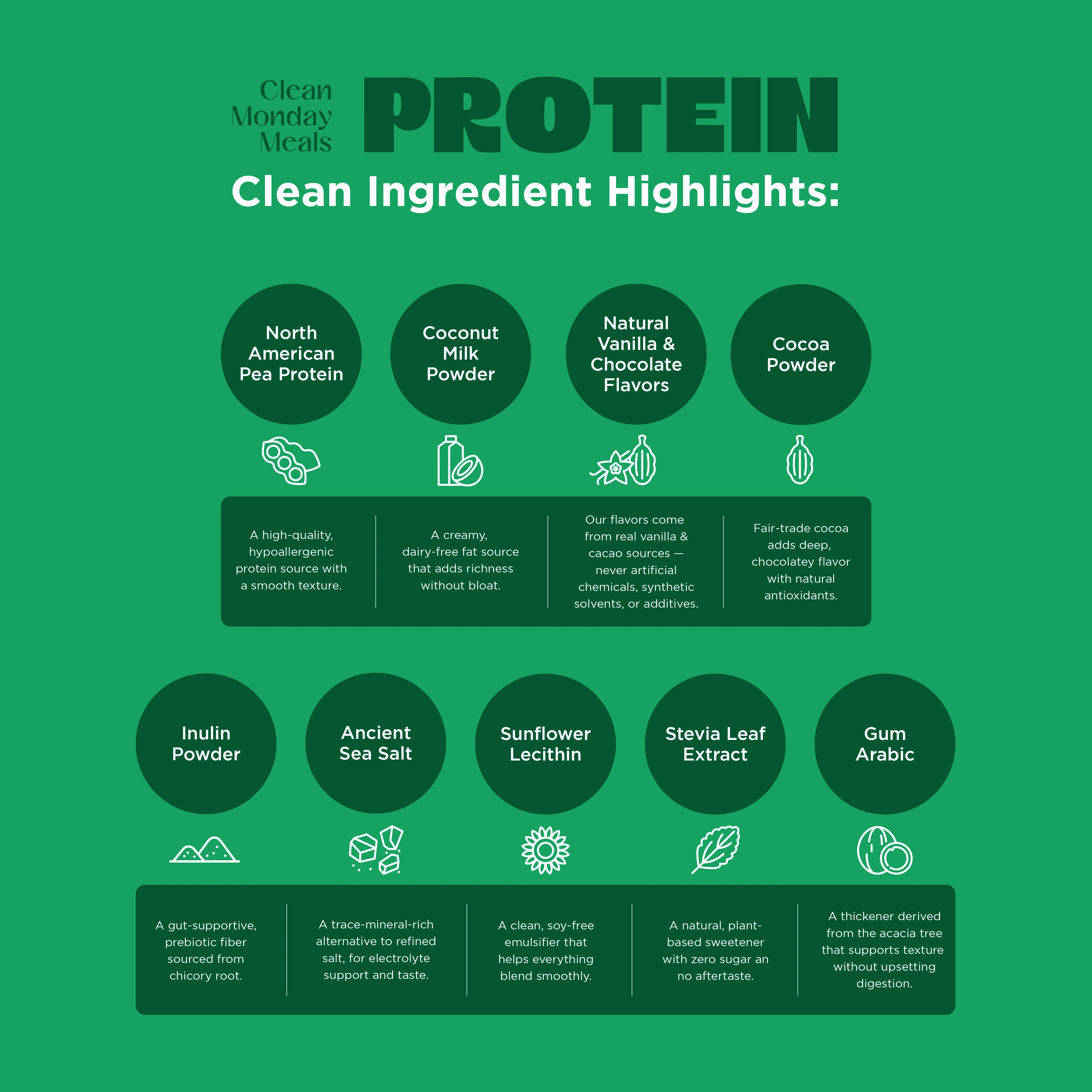 Plant-Based Protein - Image 2