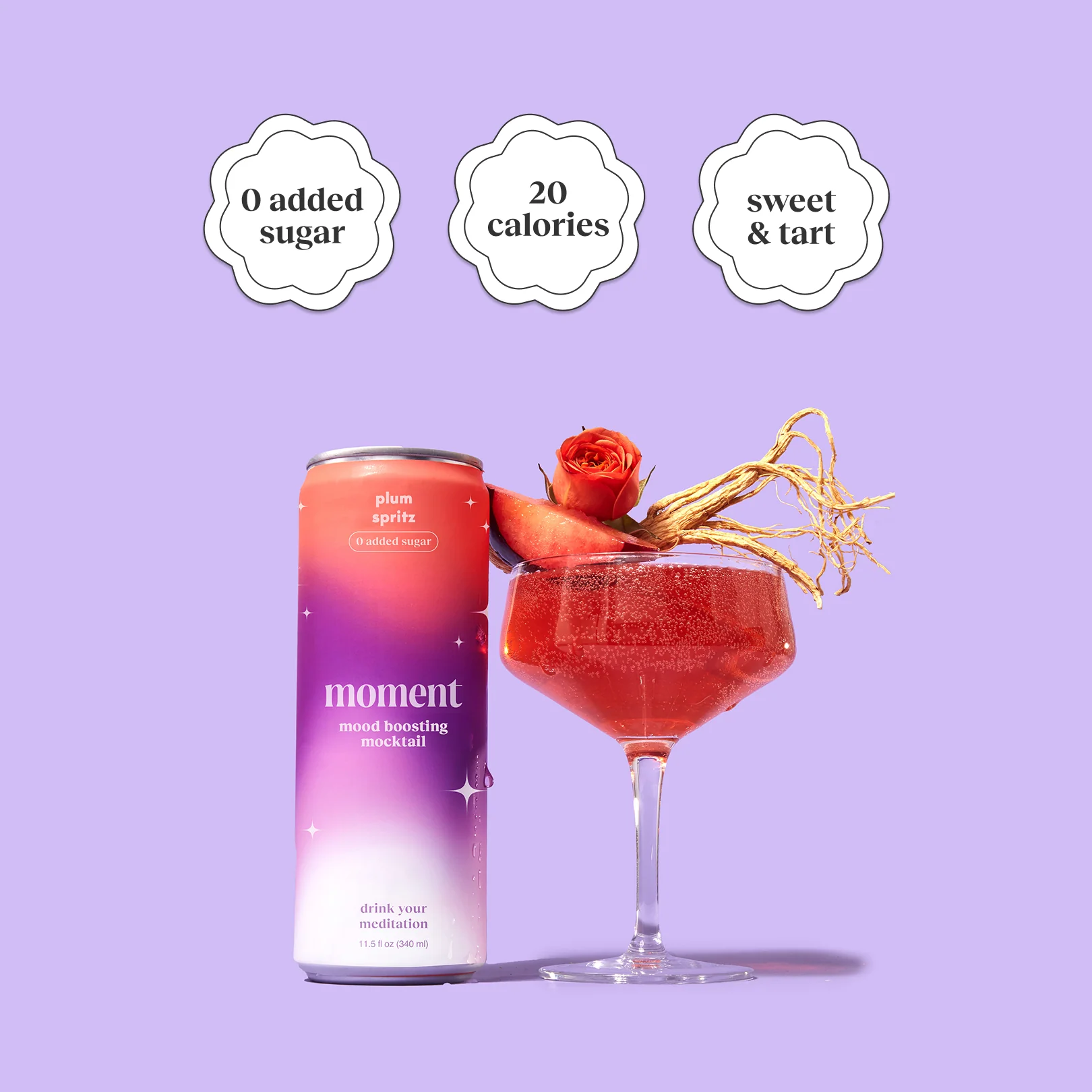 plum spritz (sparkling mocktail | 12 pack) - Image 2